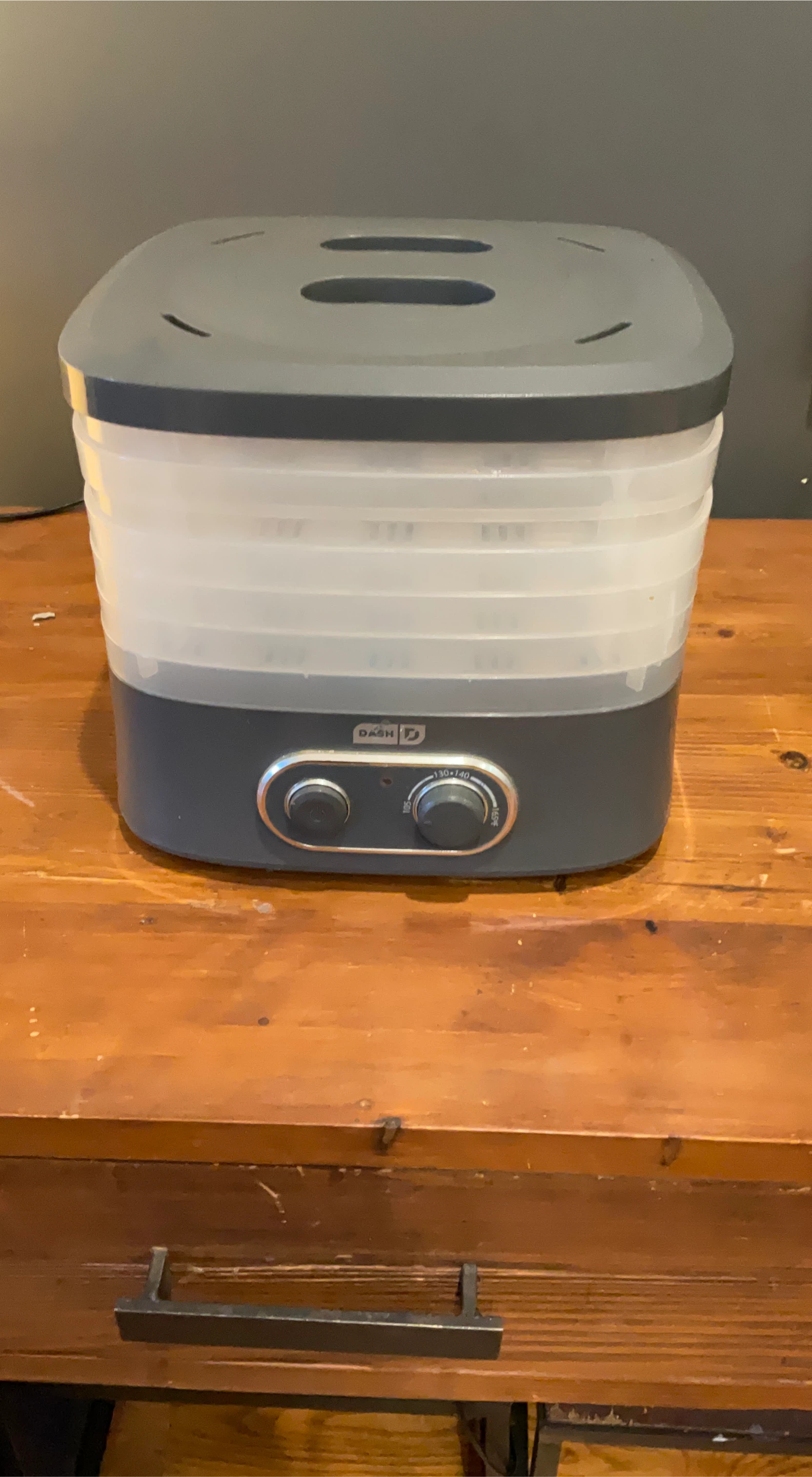 DASH Food Dehydrator