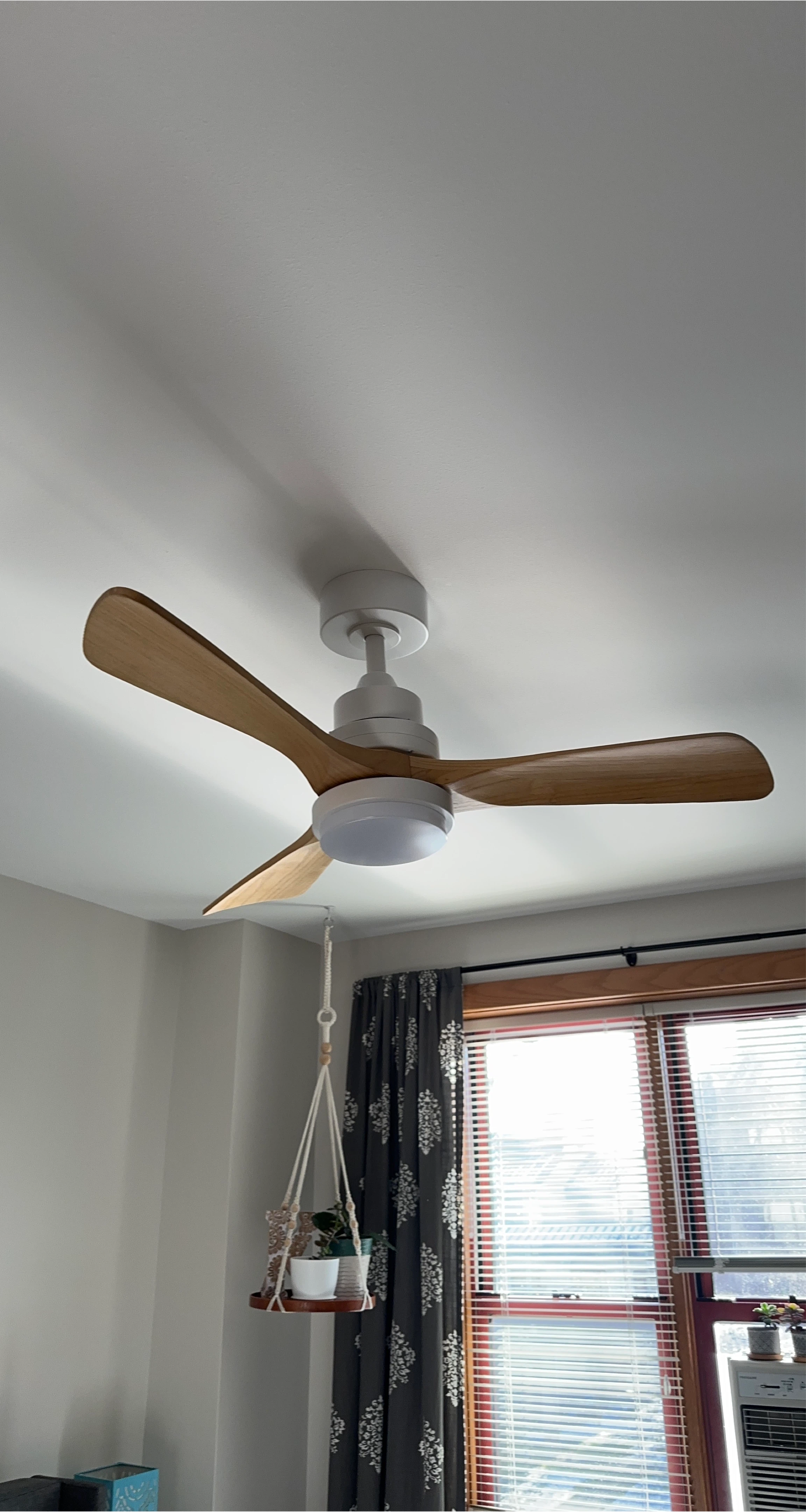 Ceiling Fan with Light