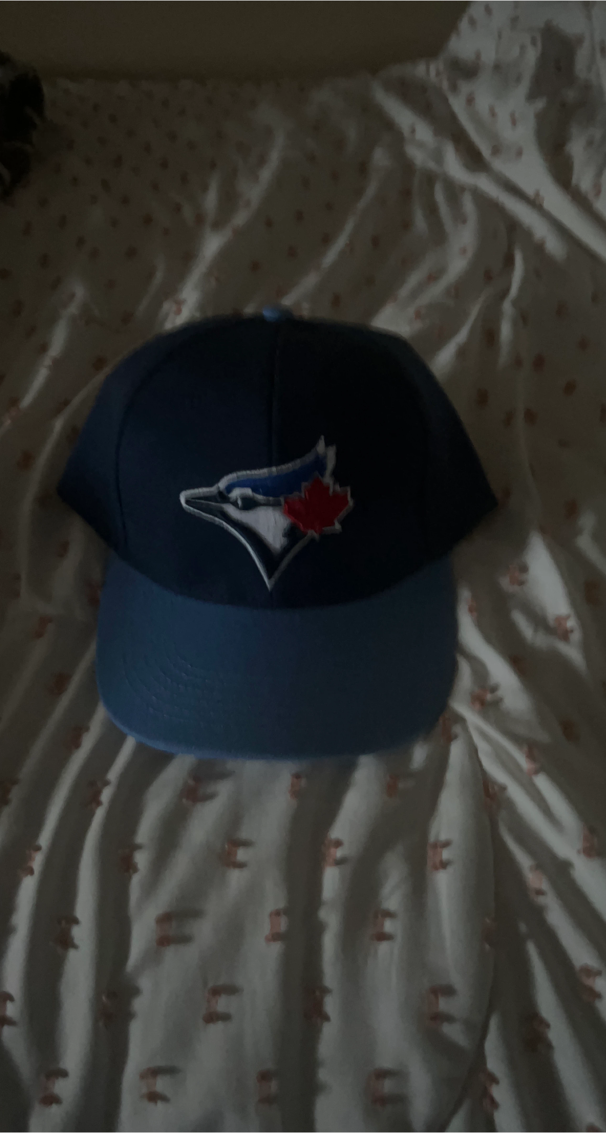 Toronto Blue Jays Baseball Hat