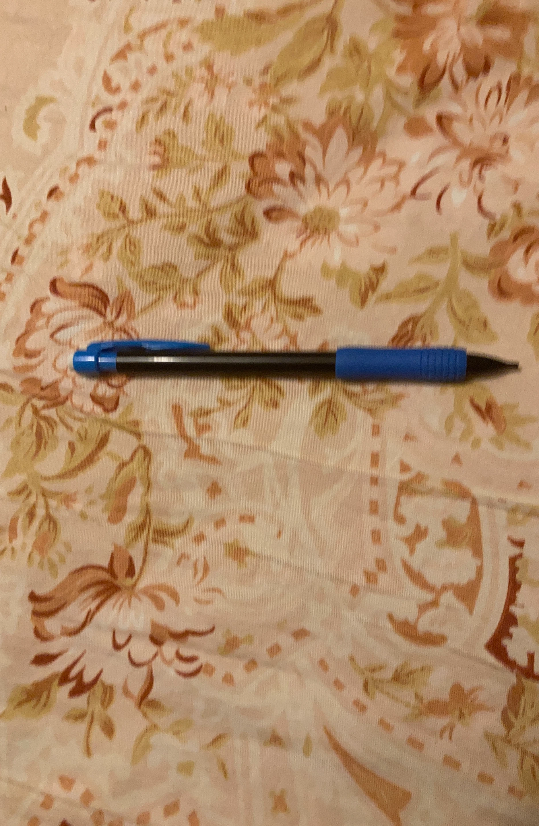 Blue Writing Pen