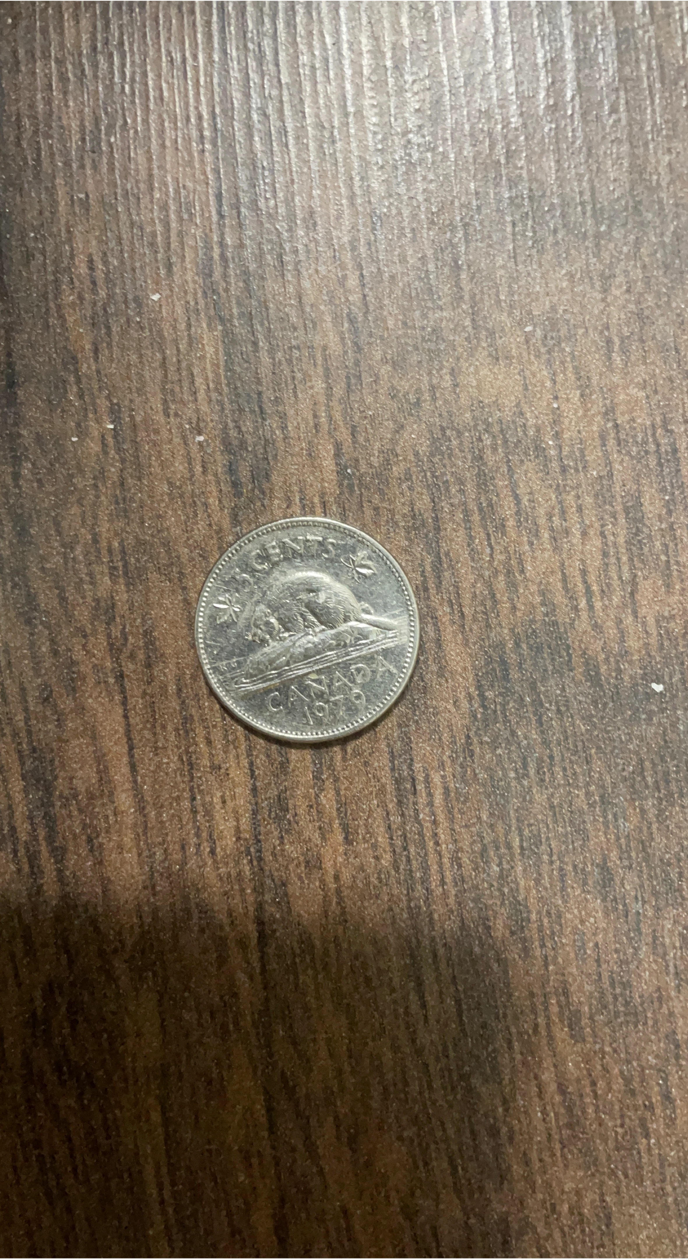 1979 Canada 5 Cent Coin image indicator(1)