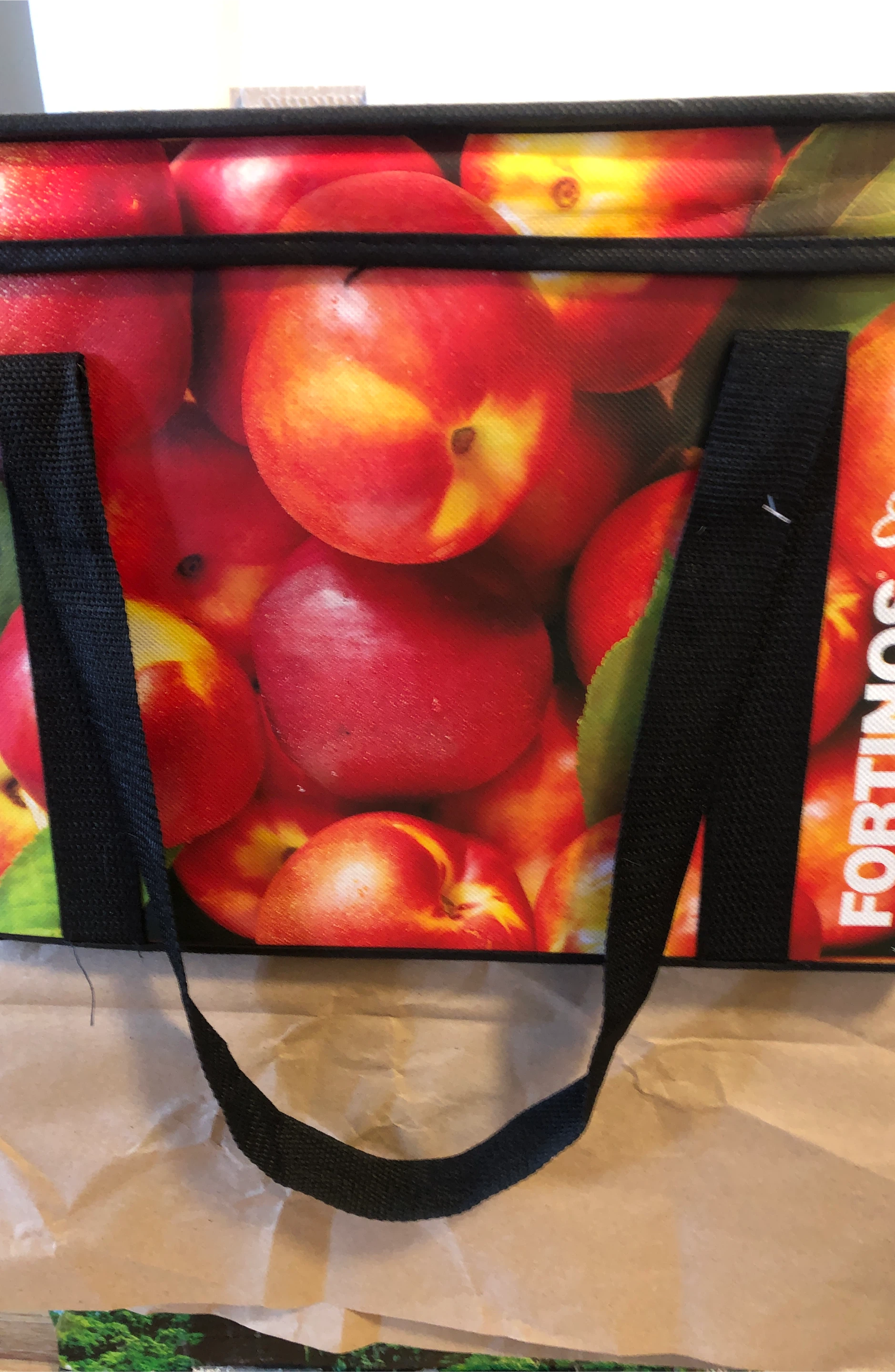 Fortinos Reusable cooler bag