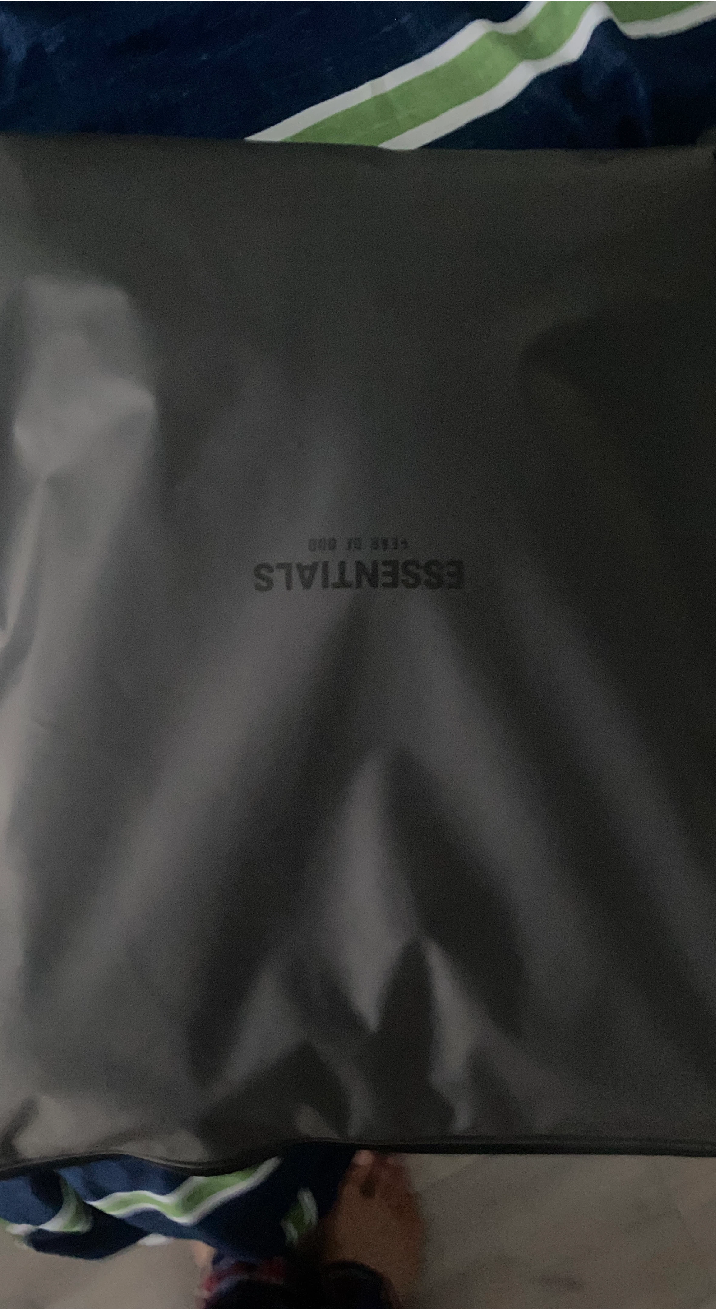 Essentials Fear of God Item