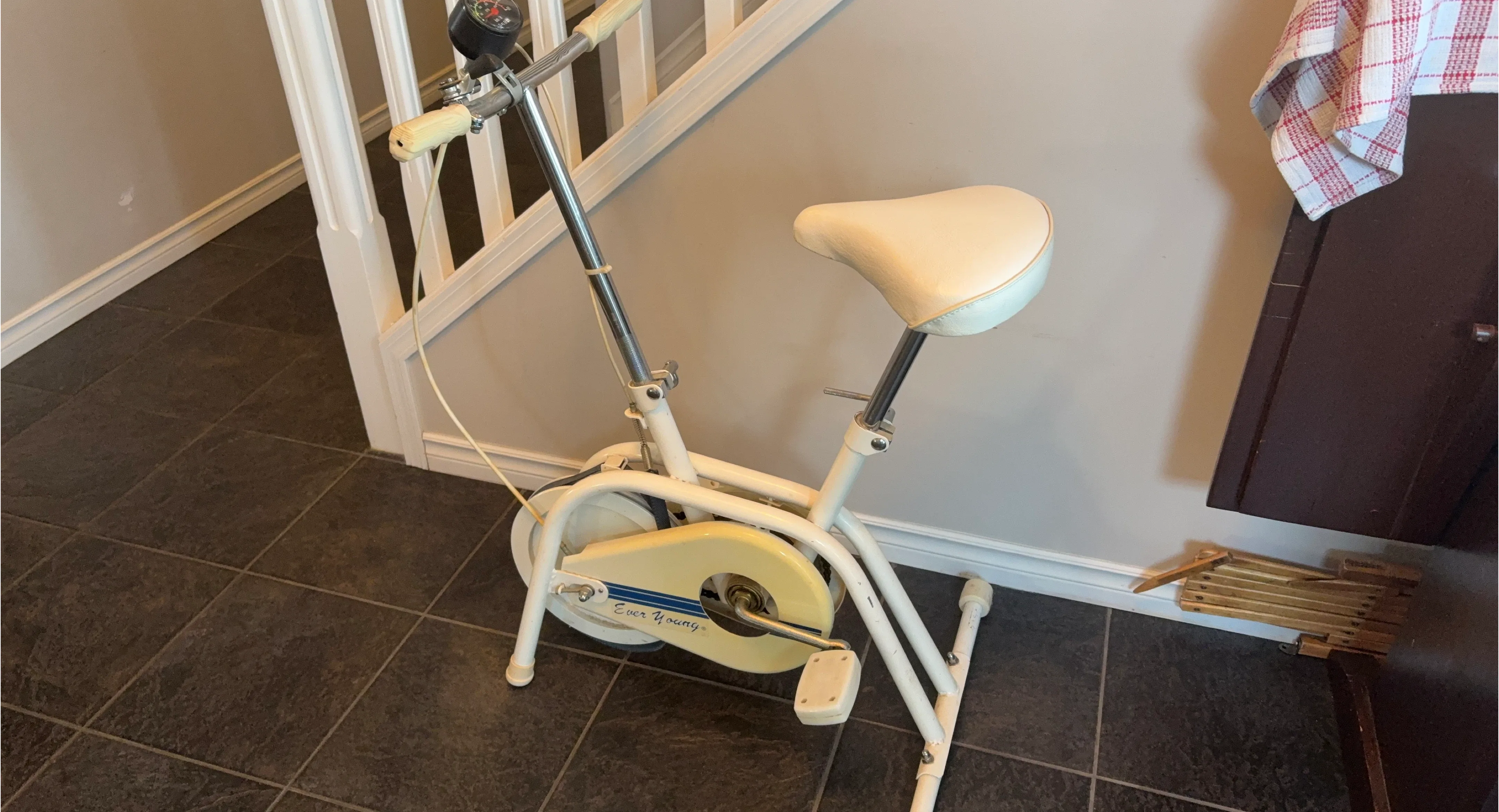 Ever Young Exercise Bike - Great Condition!
