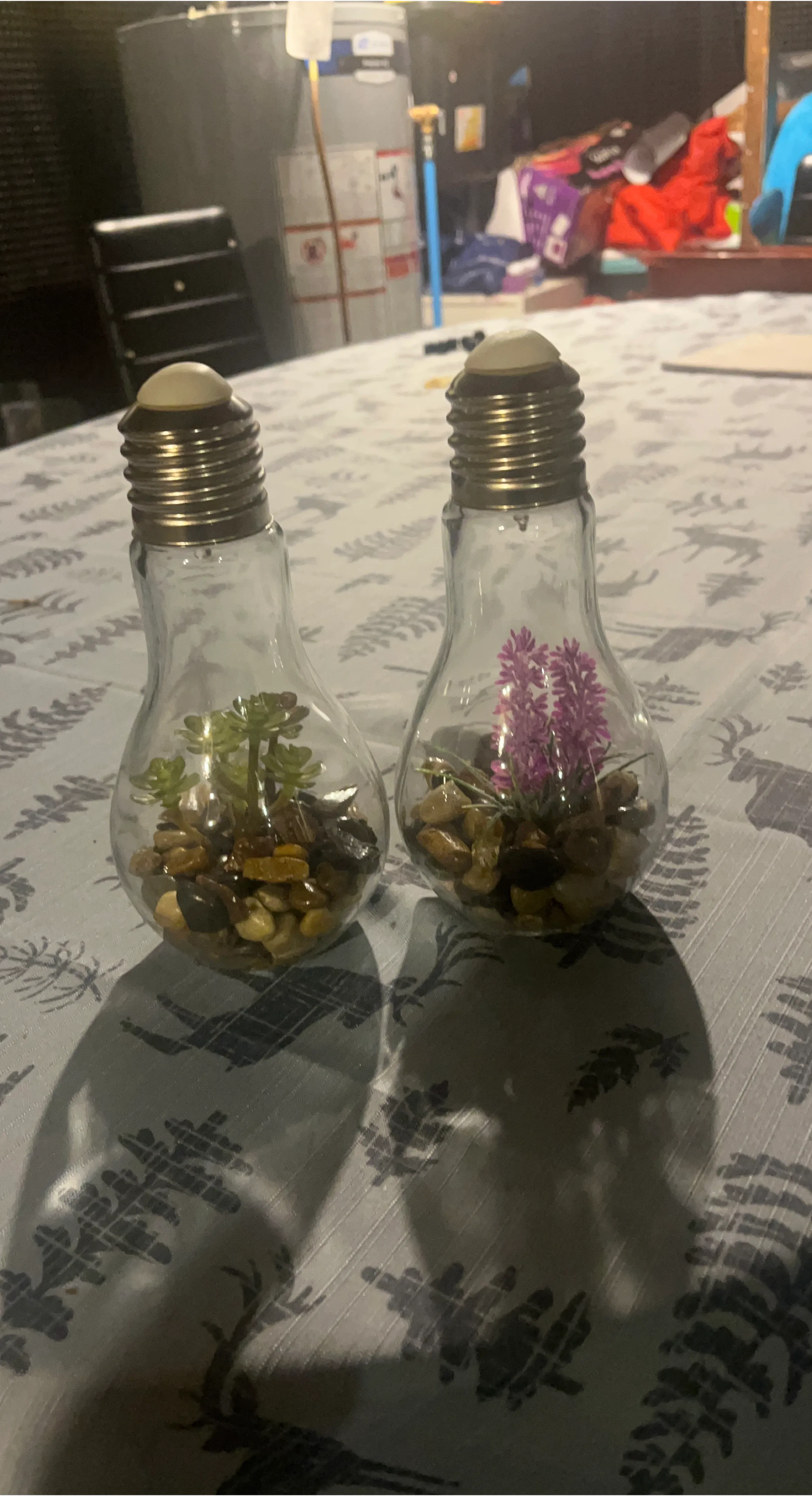 Light Bulb Terrarium Decor