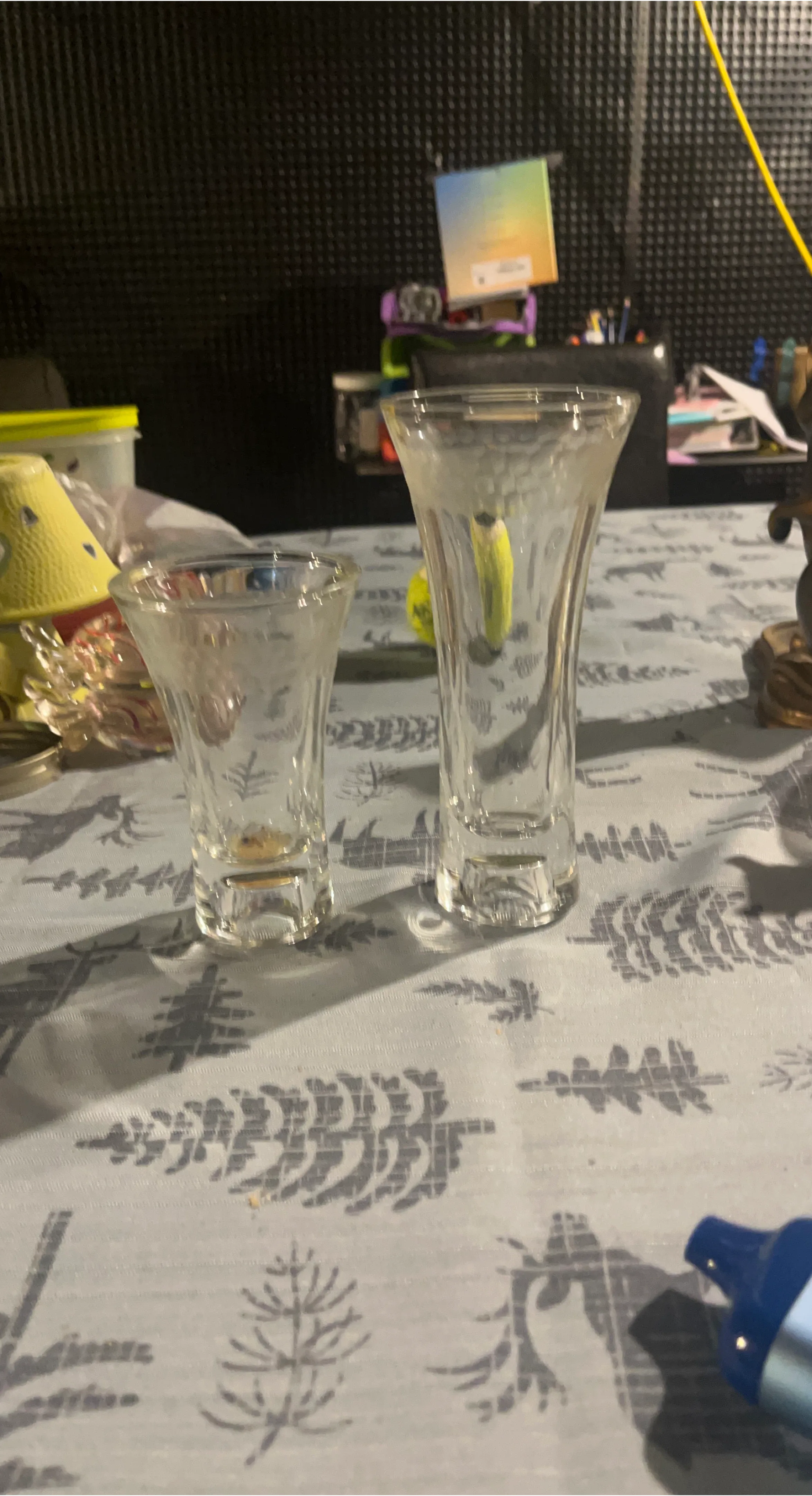 Set of Two Decorative Shot Glasses
