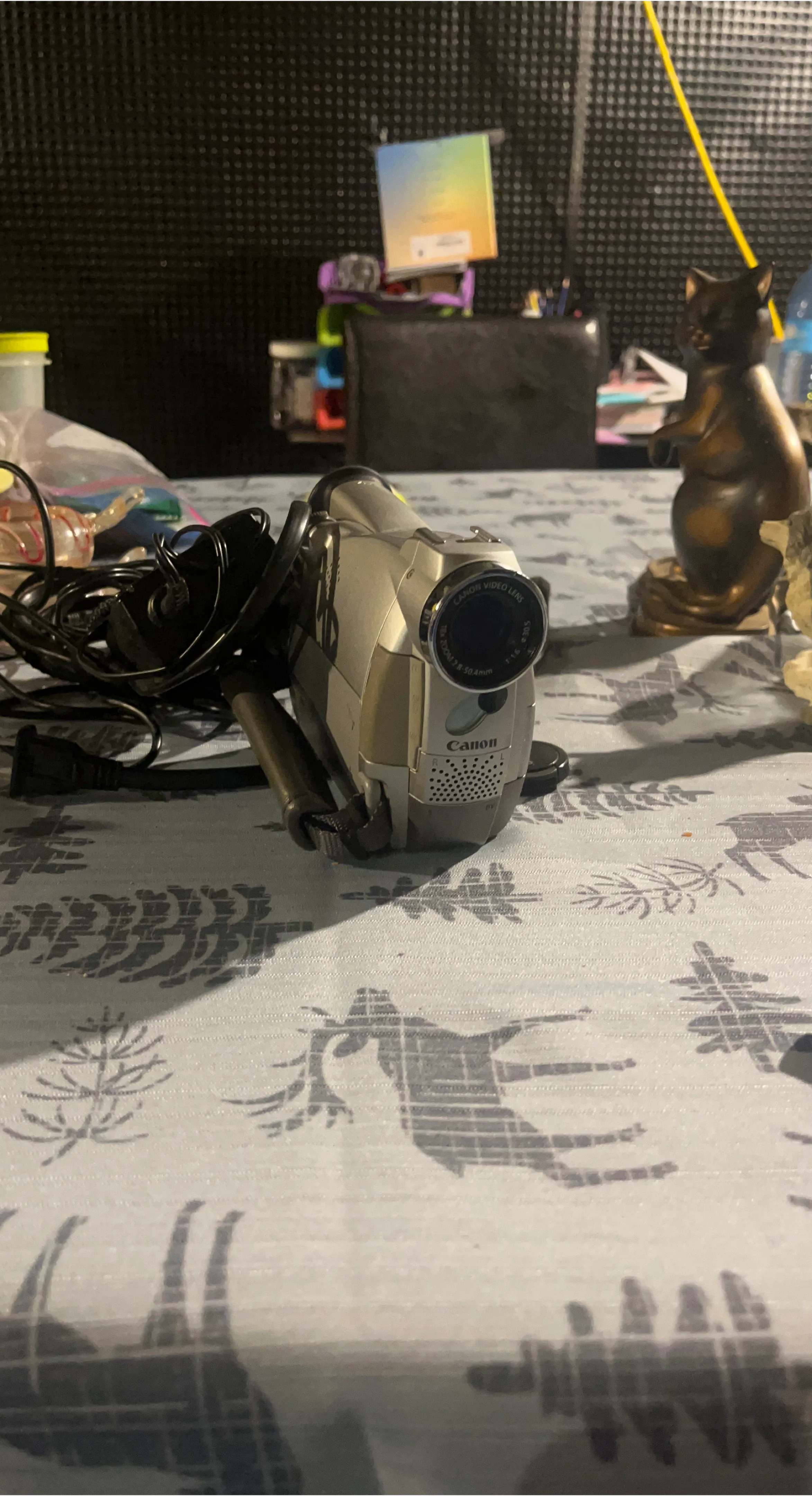 Canon Camcorder