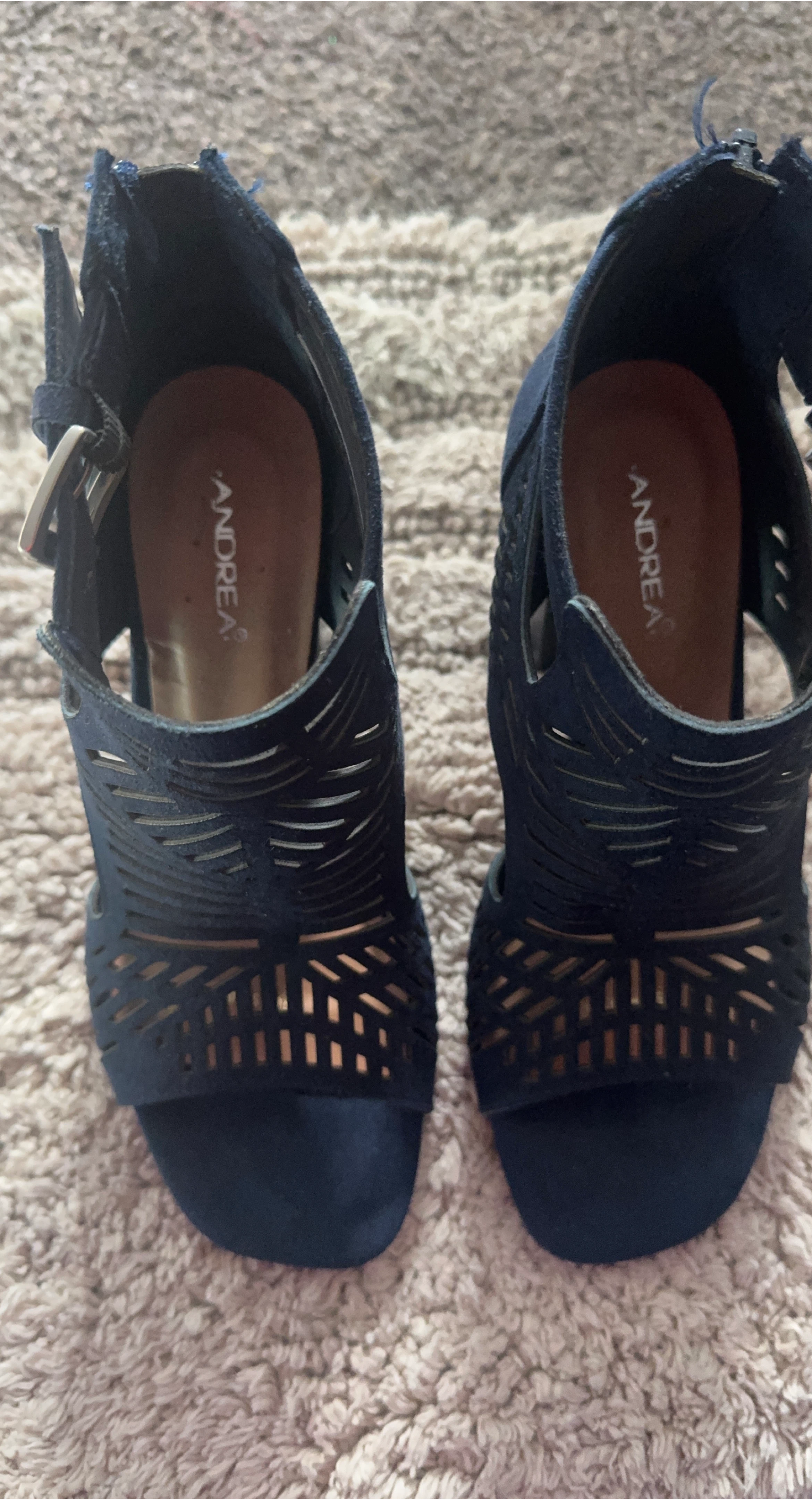 Andrea Blue Heels Size 8.5