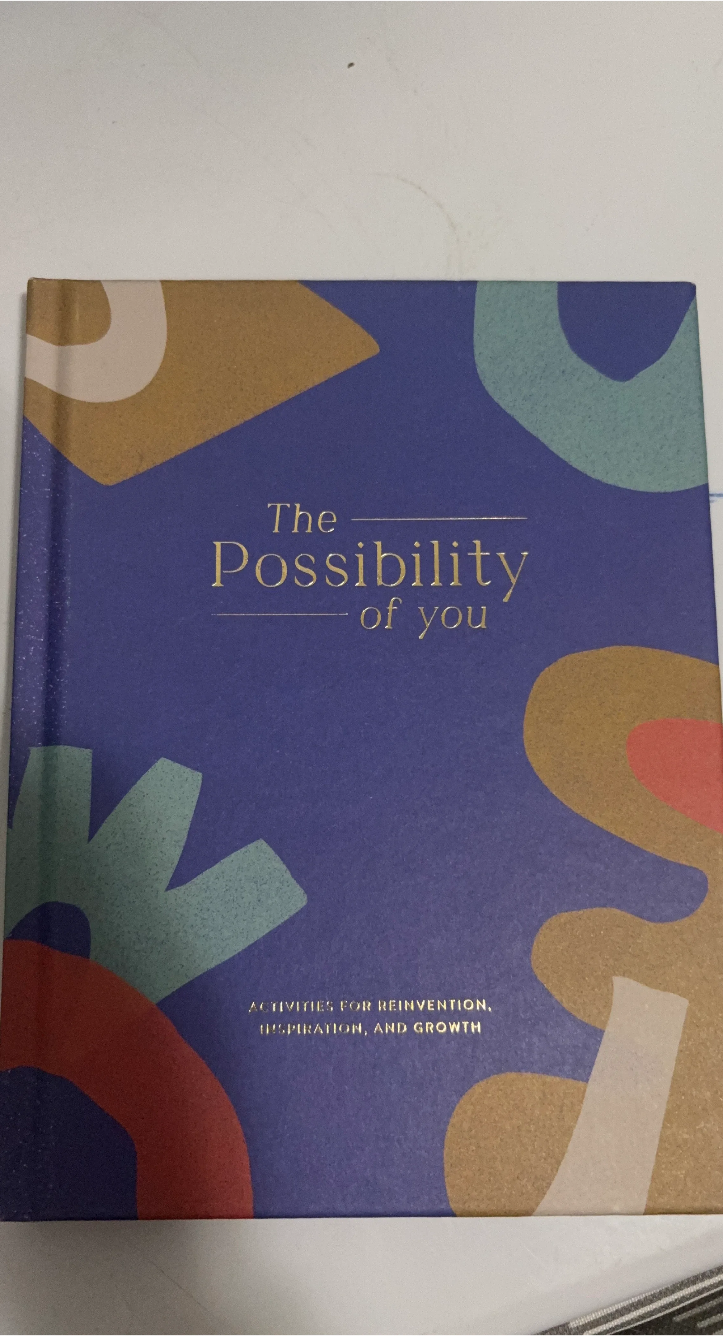 The Possibility of You - Activity Book