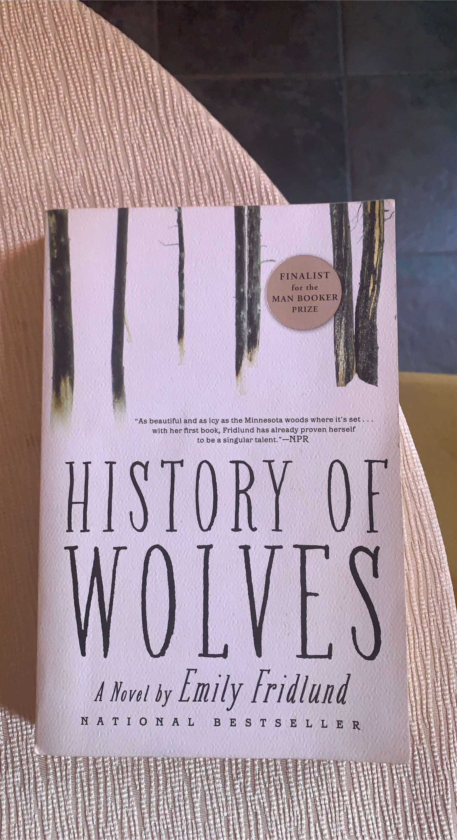 History of Wolves by Emily Fridlund