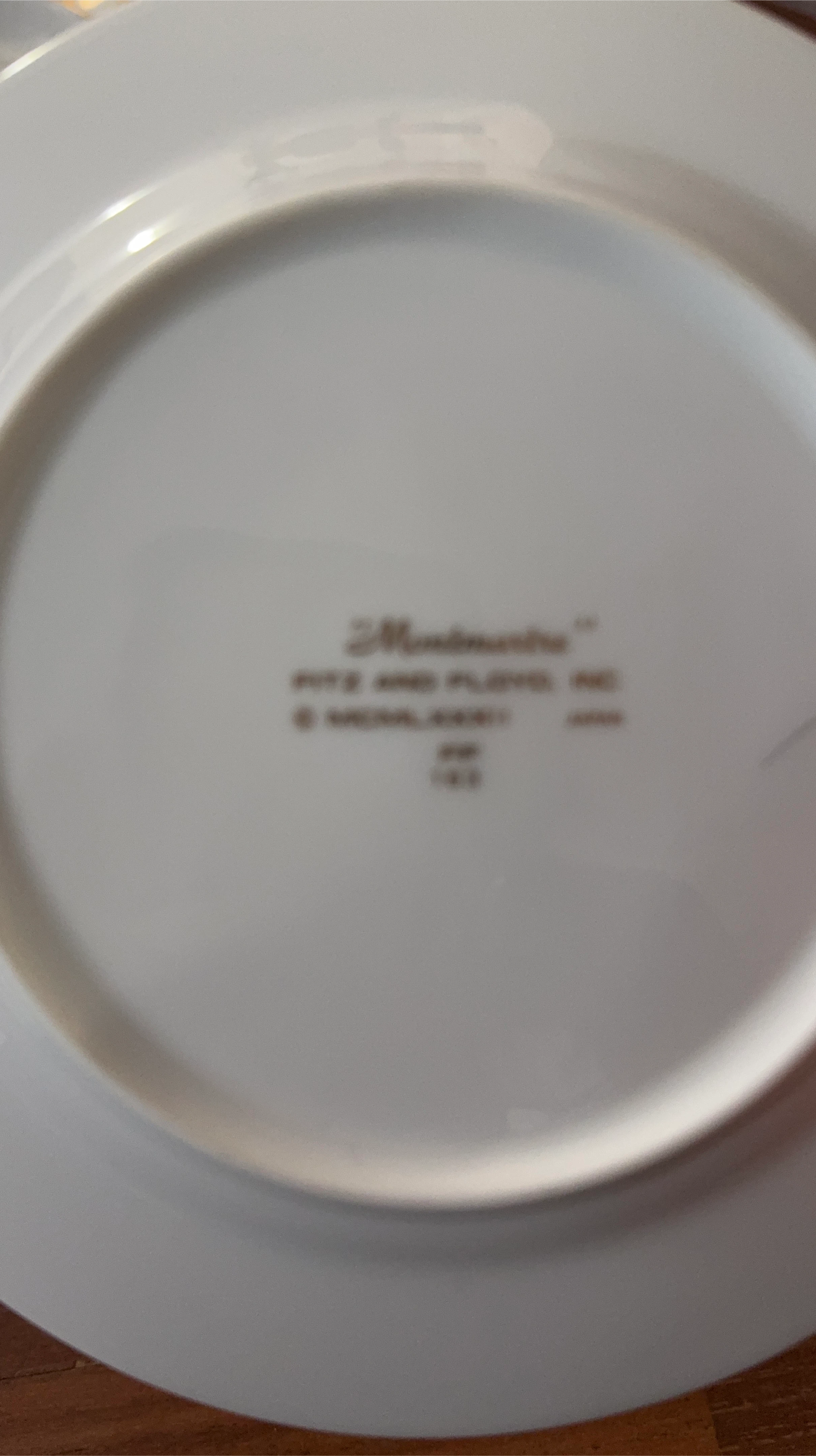 Mikasa Montauk Fitz and Floyd Plate