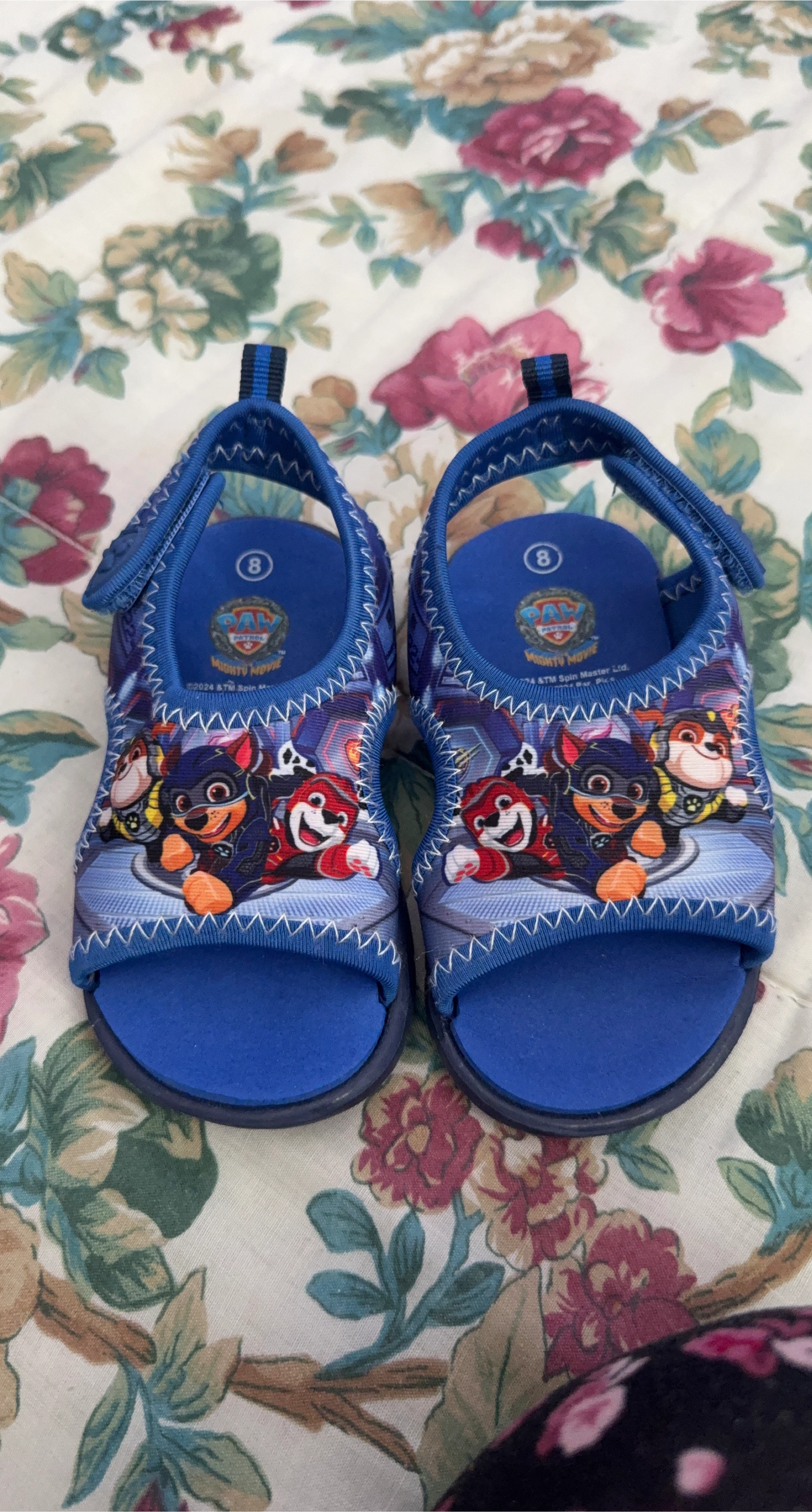 Paw Patrol Sandals - Size 8 (Toddler)