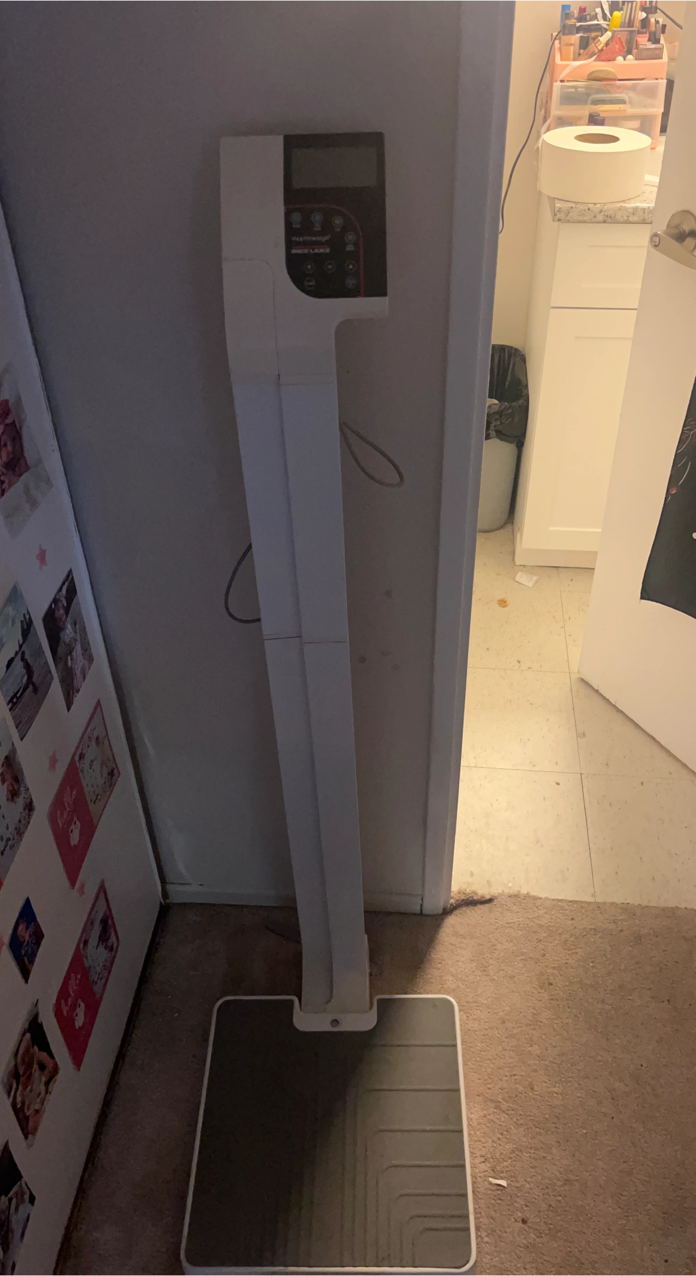 Rice Lake Healthweigh Scale