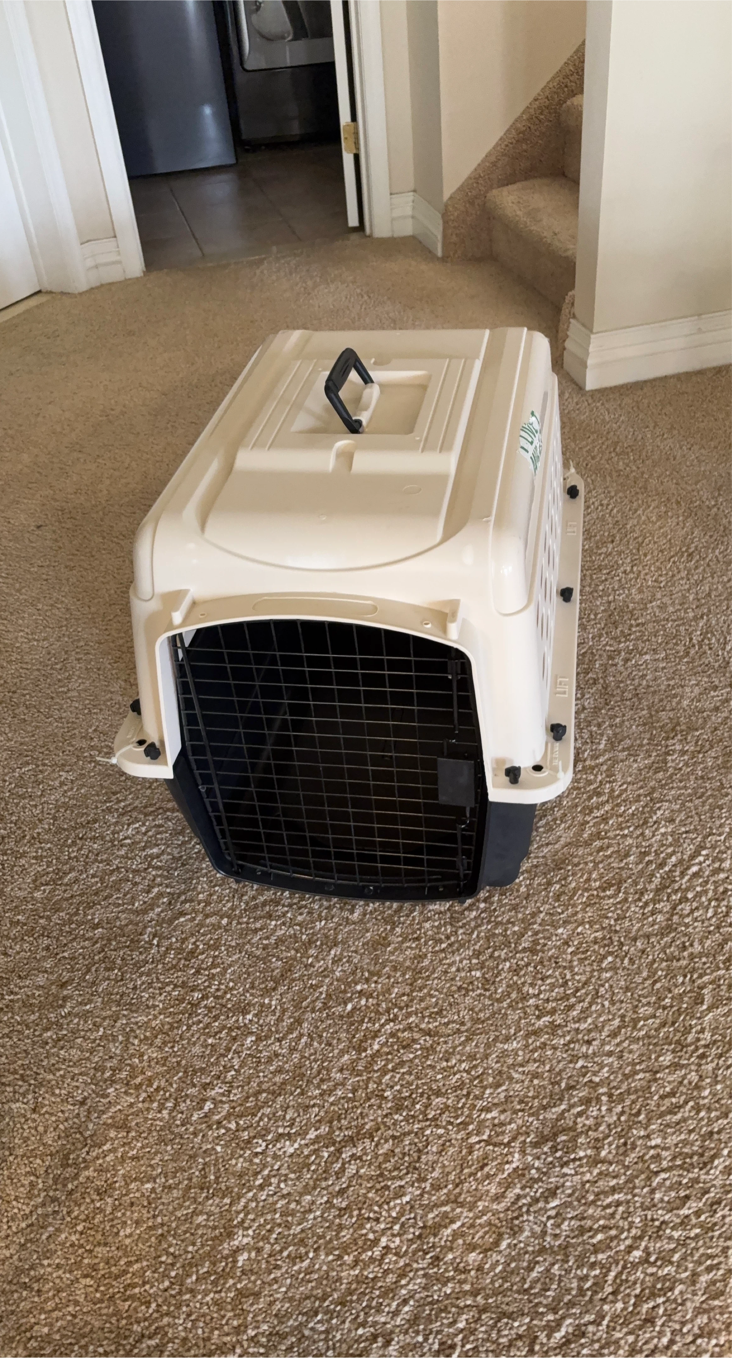 Petmate Sky Kennel Pet Carrier