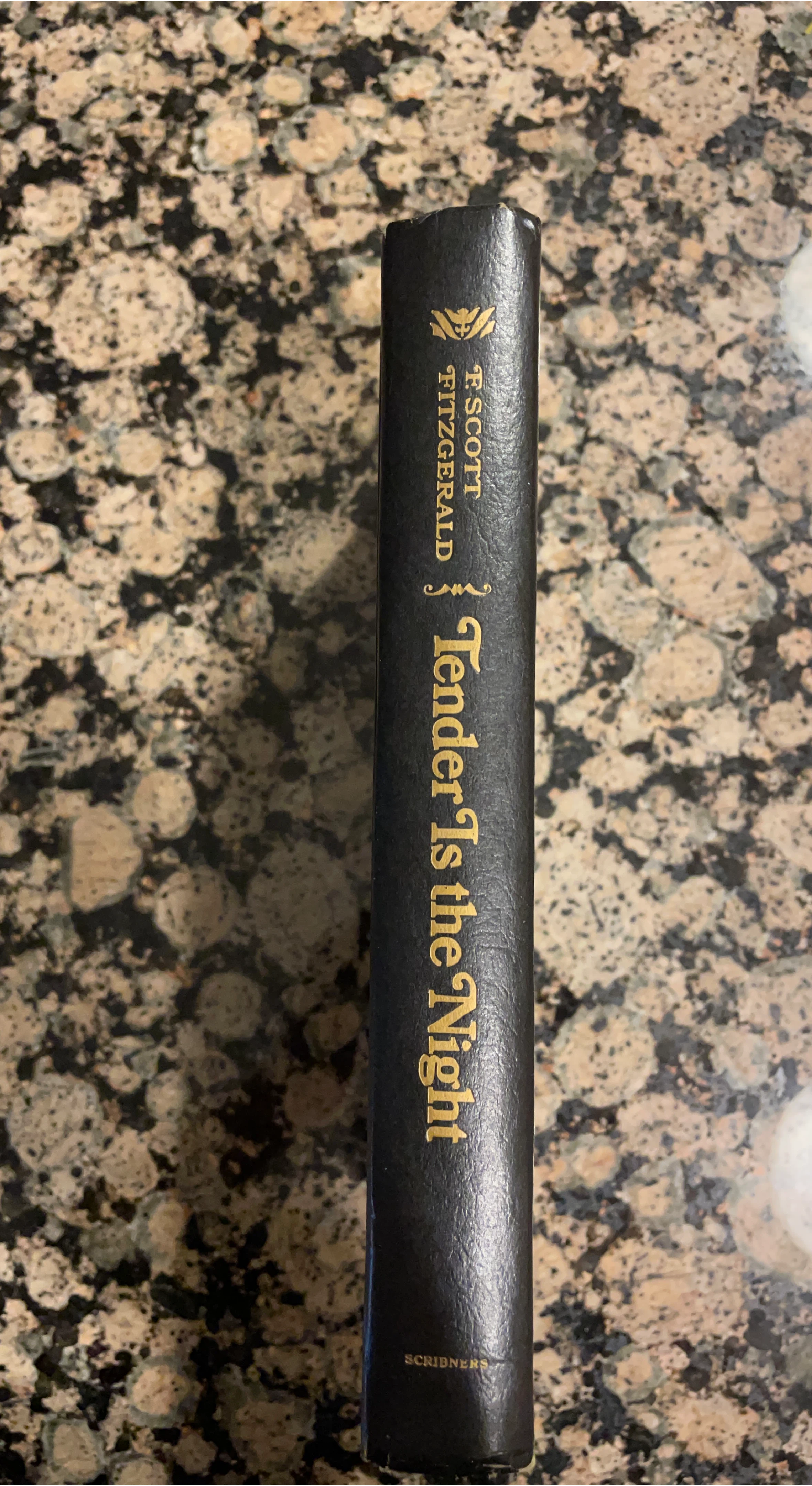 Tender Is the Night by F. Scott Fitzgerald