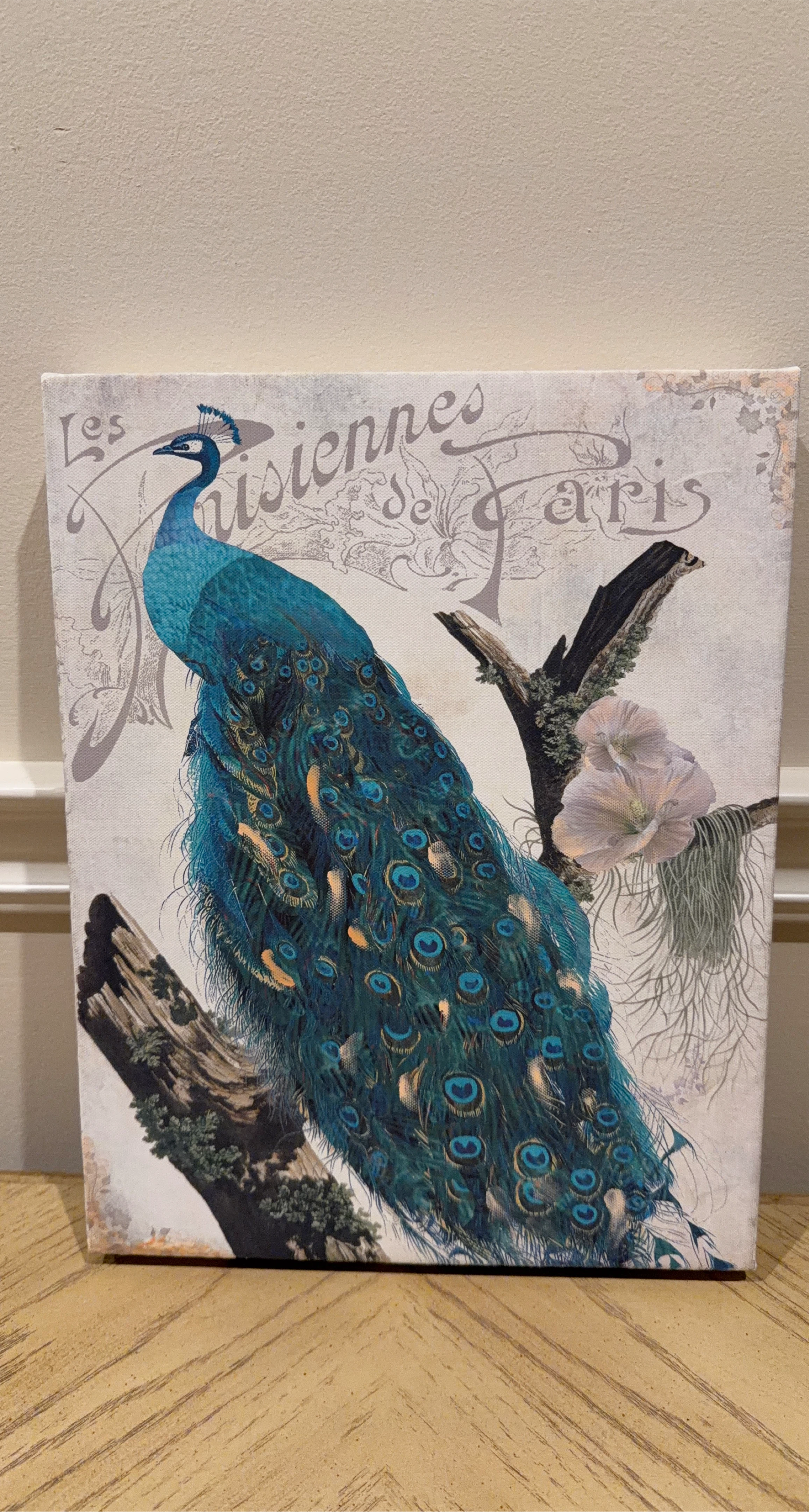 Peacock Canvas Art - "Les Parisiennes de Paris"