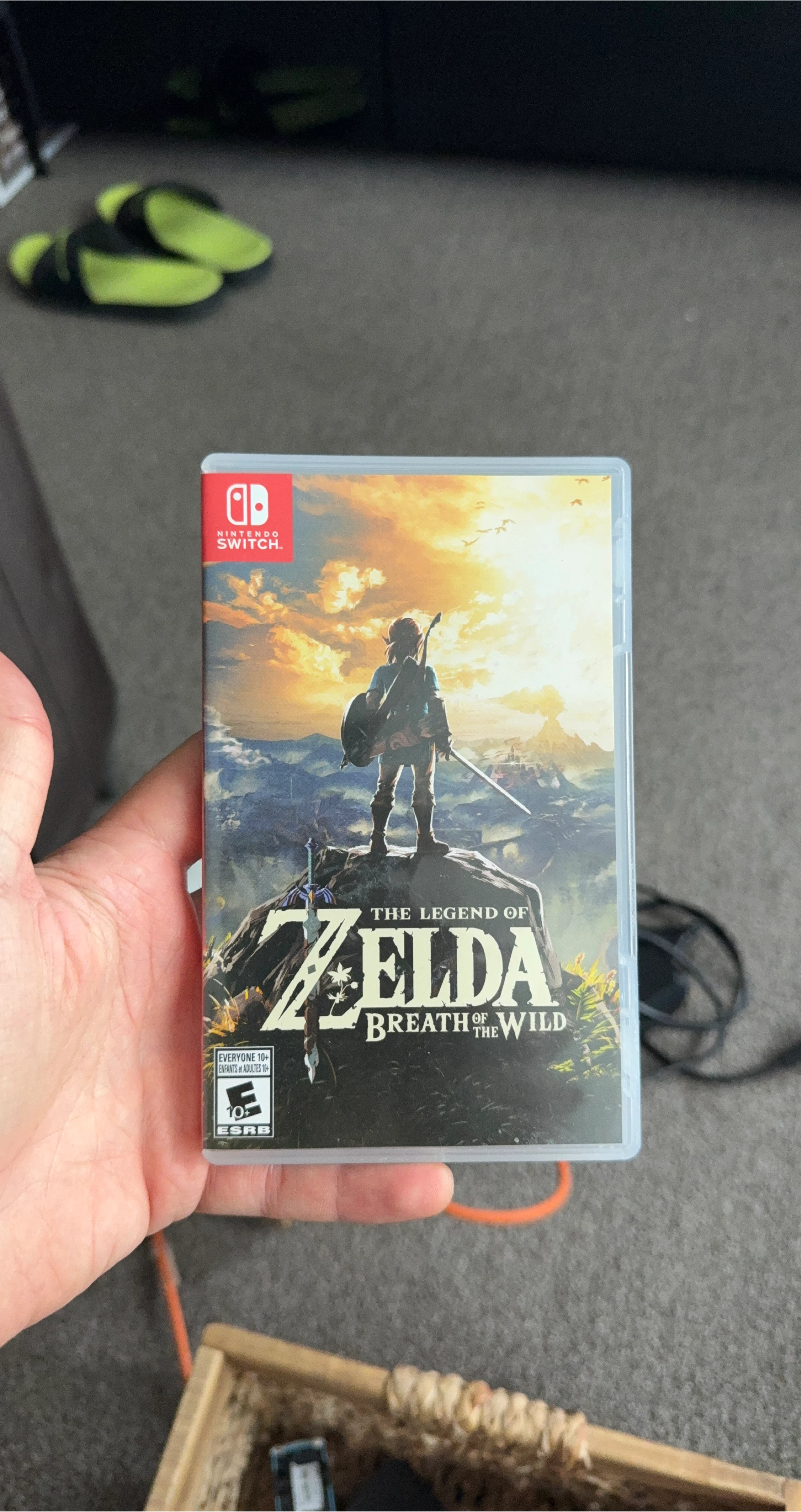 Legend of Zelda: Breath of the Wild - Nintendo Switch