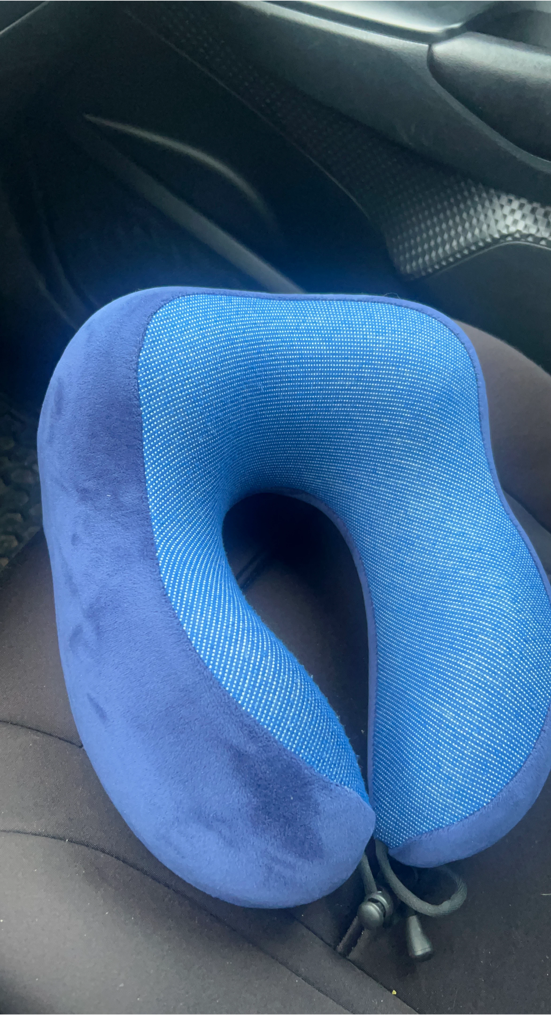 Blue Neck Pillow