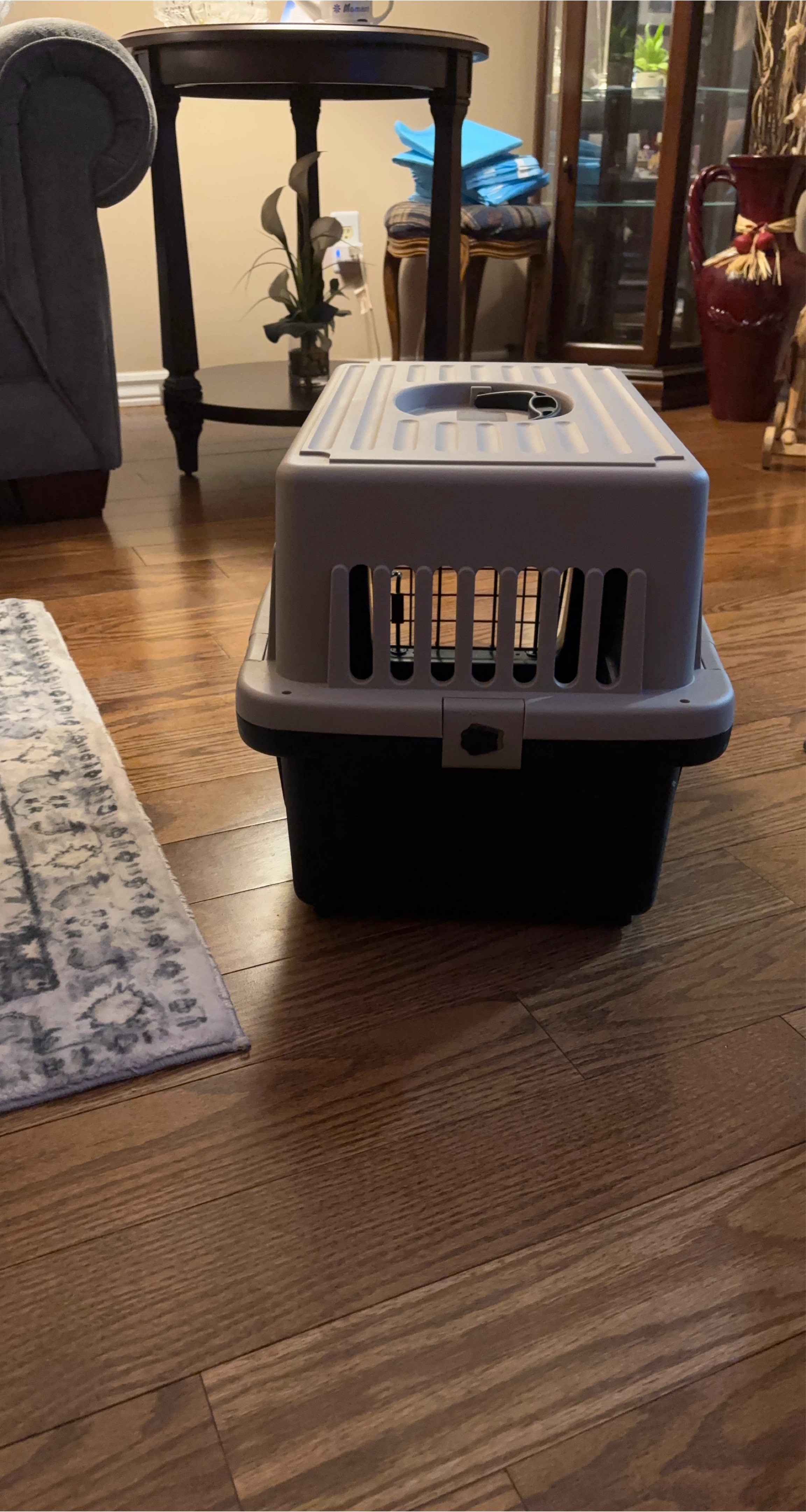 Pet Carrier Kennel  small dog
