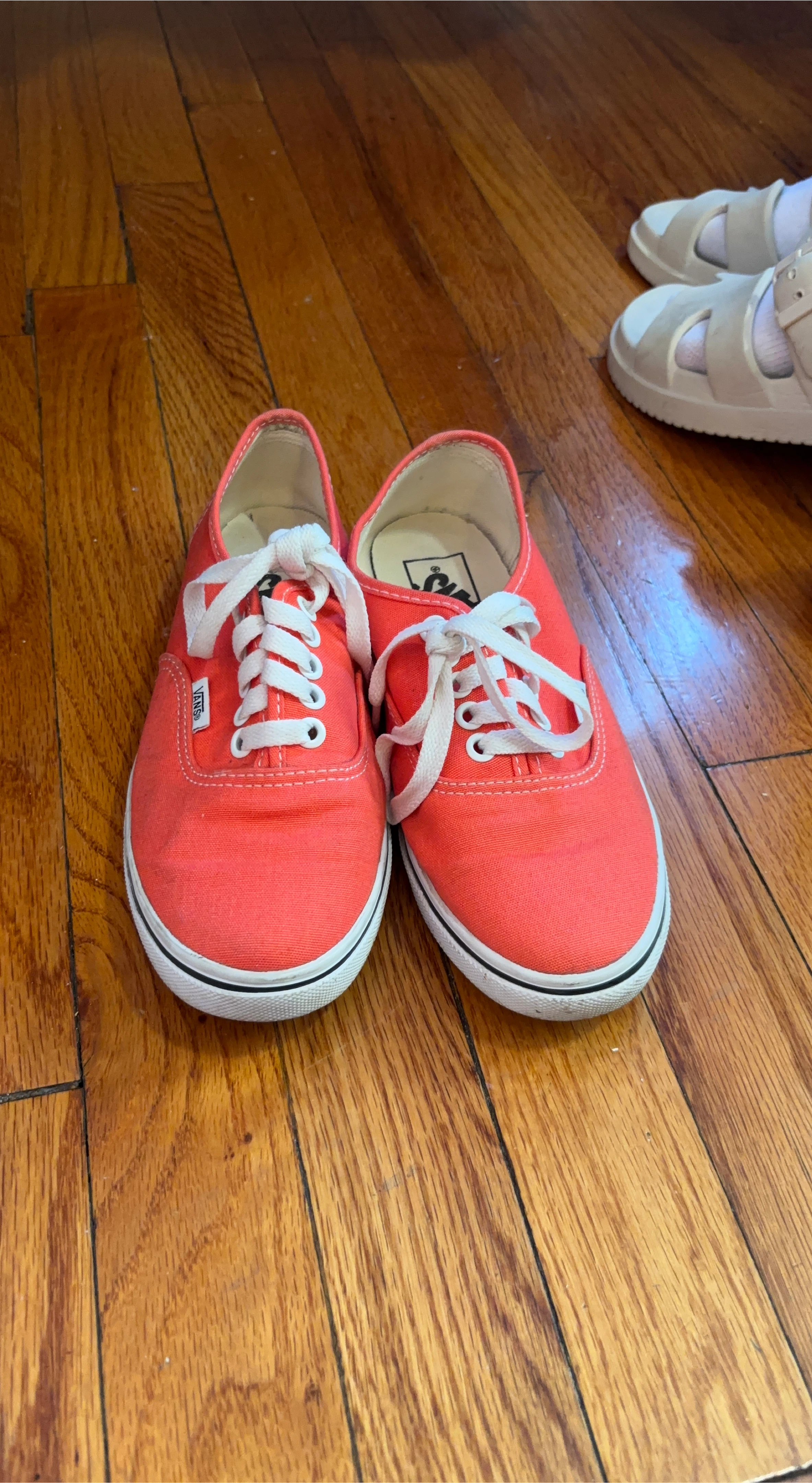 Vans Authentic Coral Sneakers