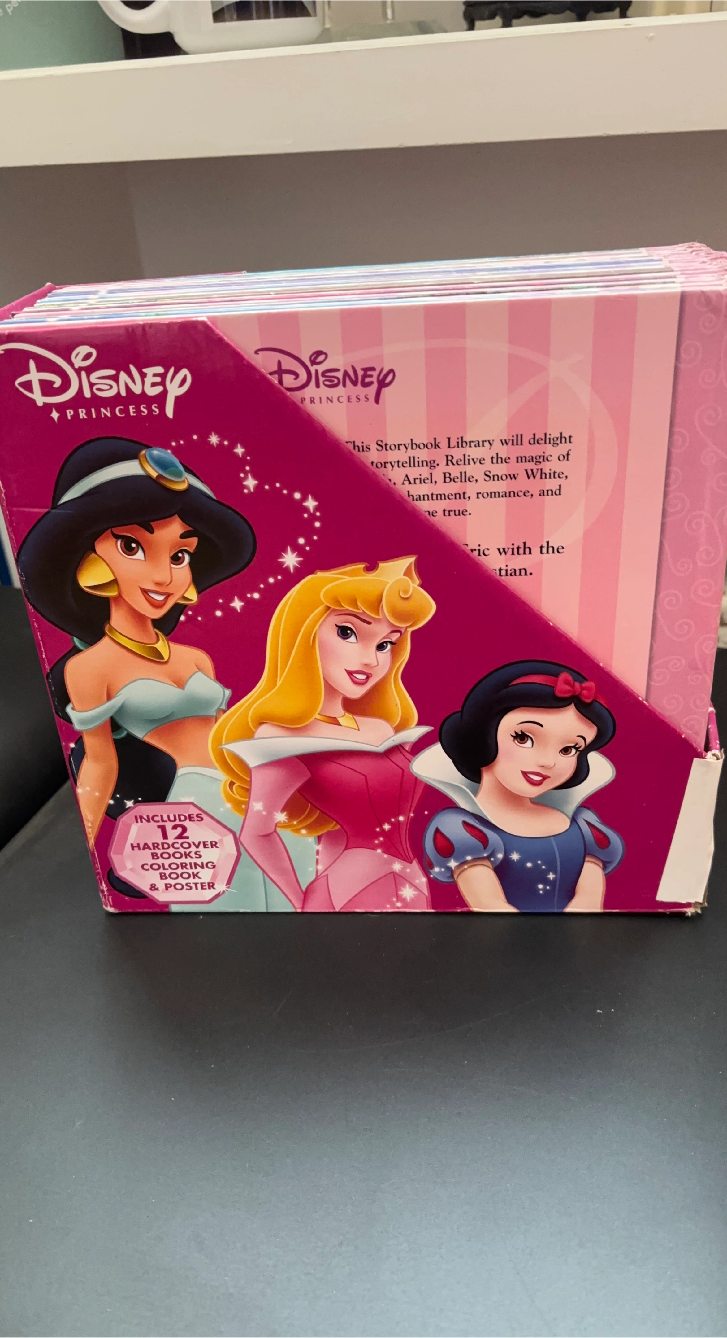 Disney Princess Storybook Library - 12 Books + More!