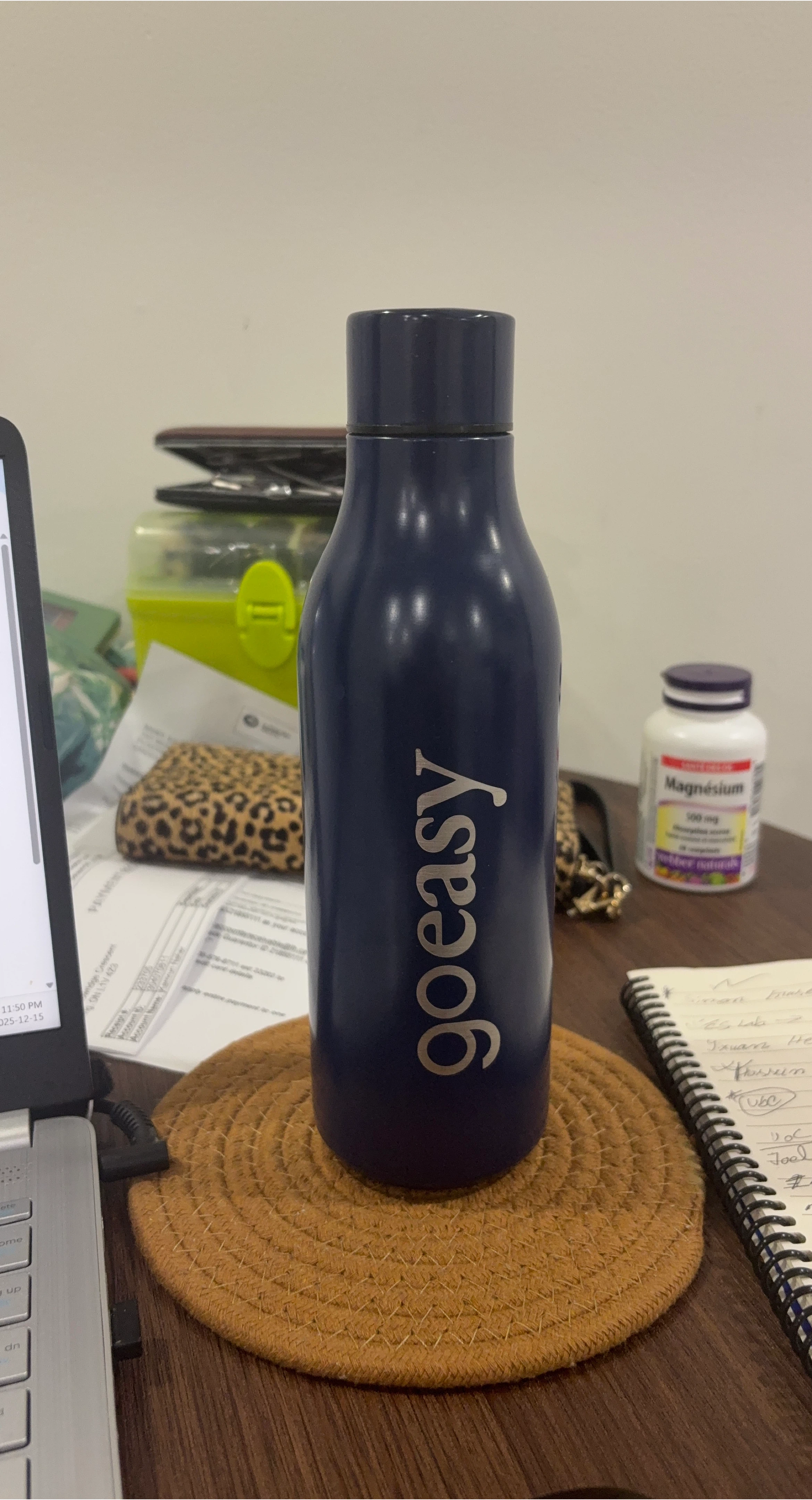 Goeasy Blue Water Bottle