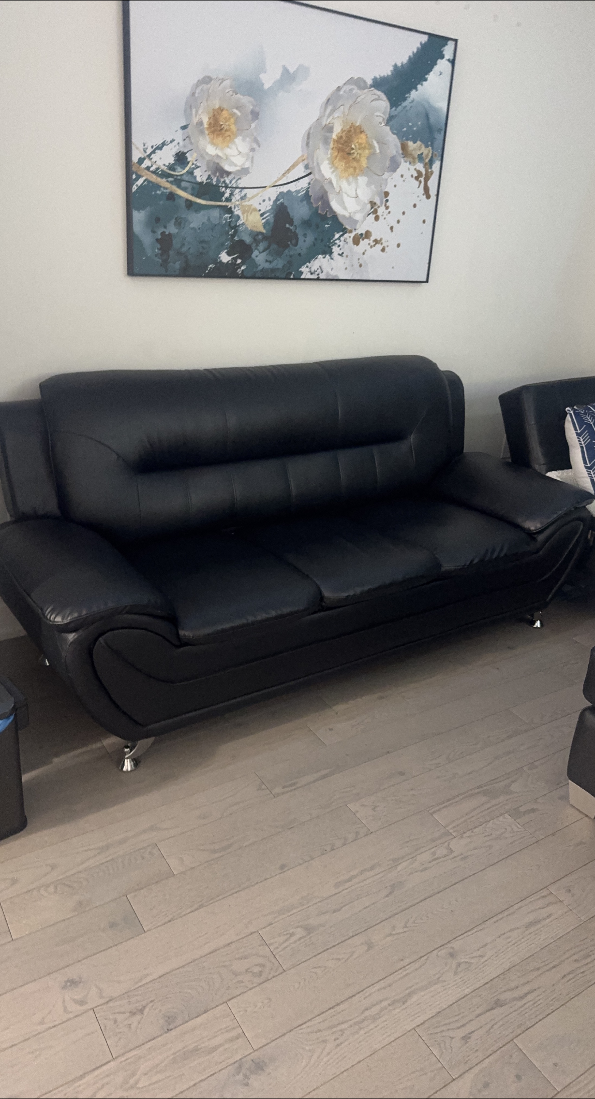 Black Leather Sofa