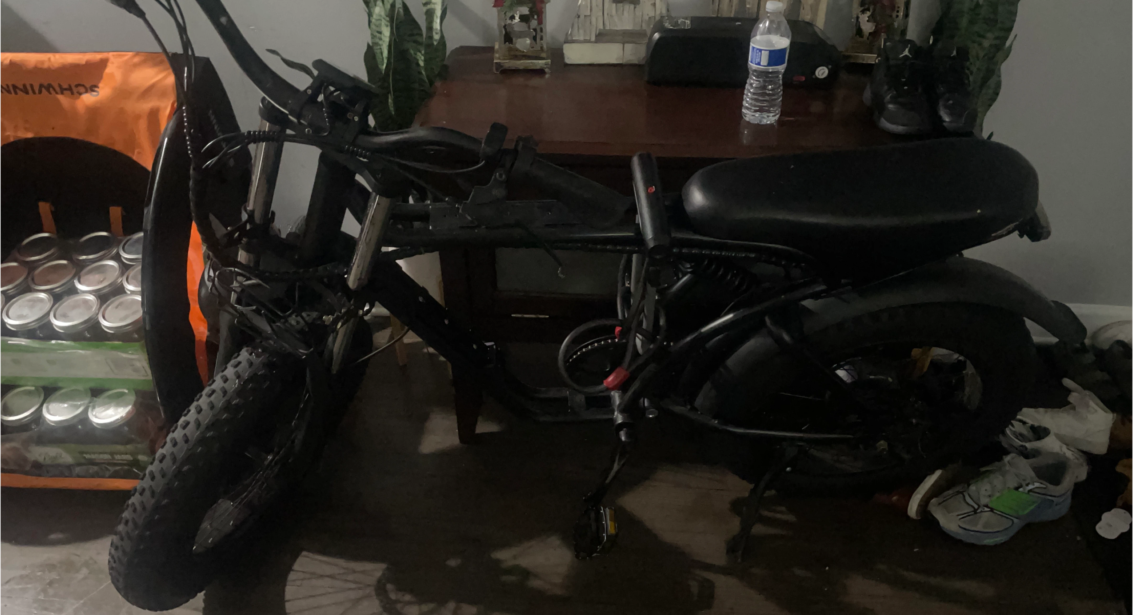 Electric Bike