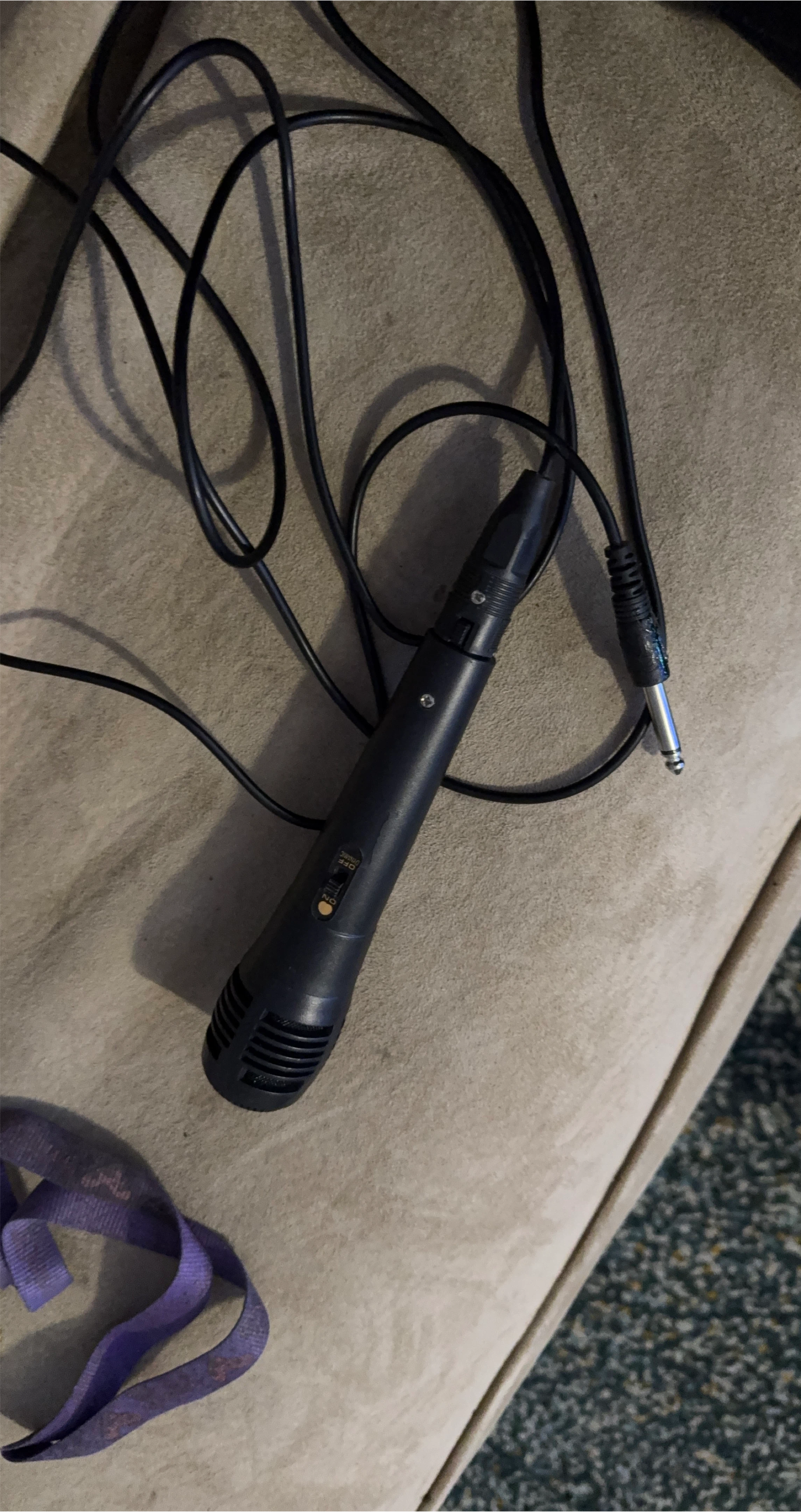 Microphone