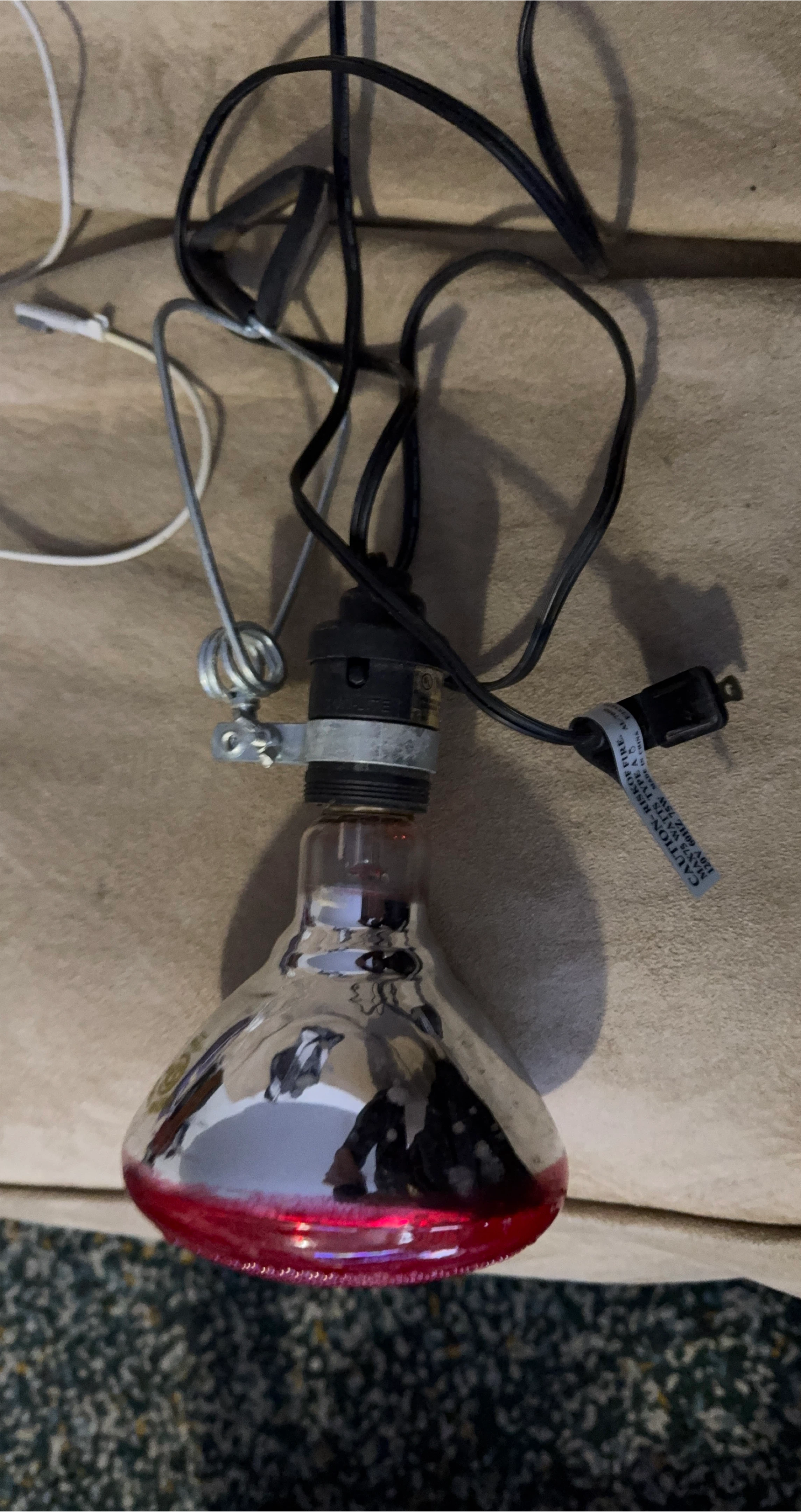 Infrared Heat Lamp Bulb