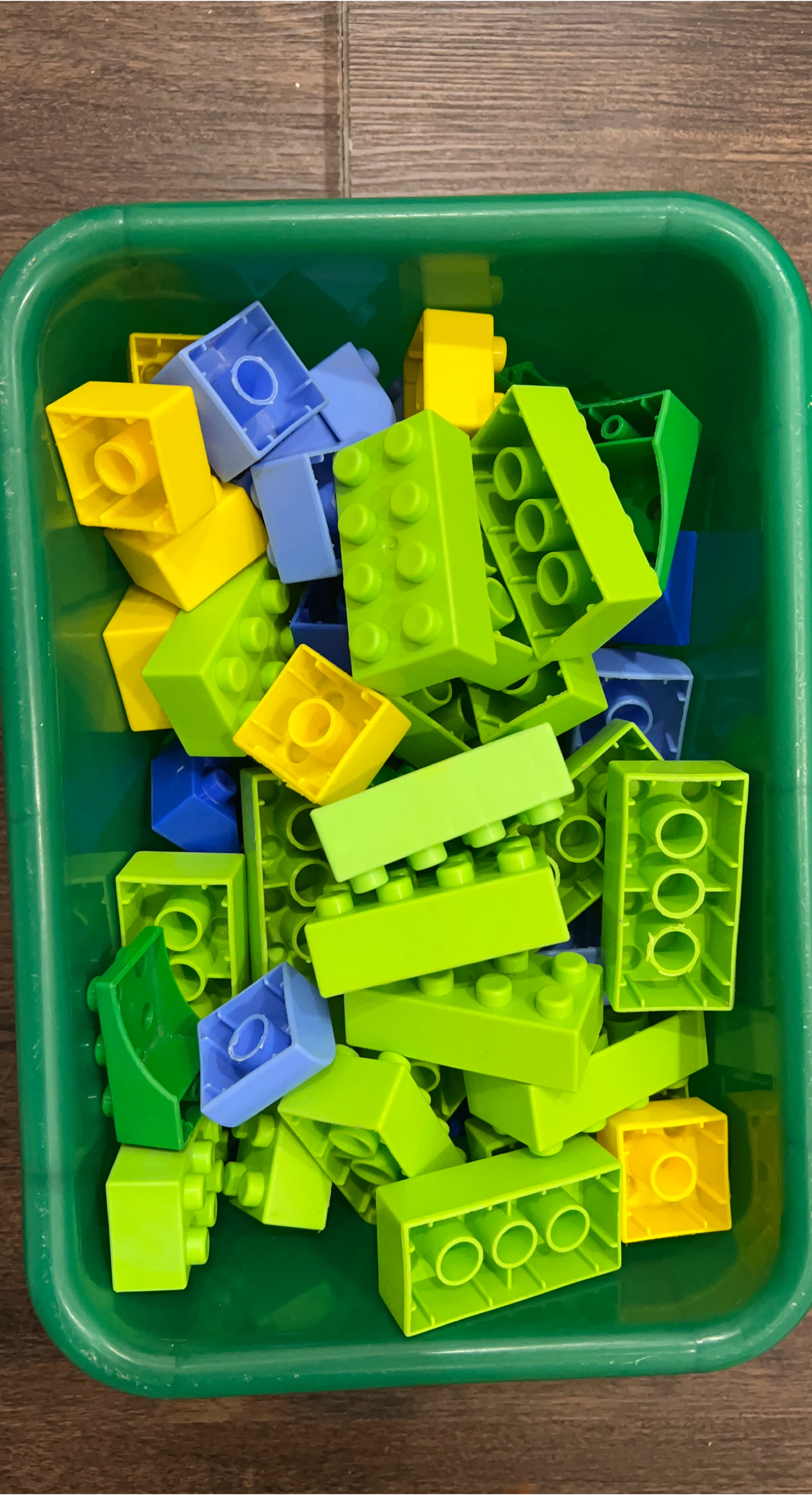 Hamley Blocks