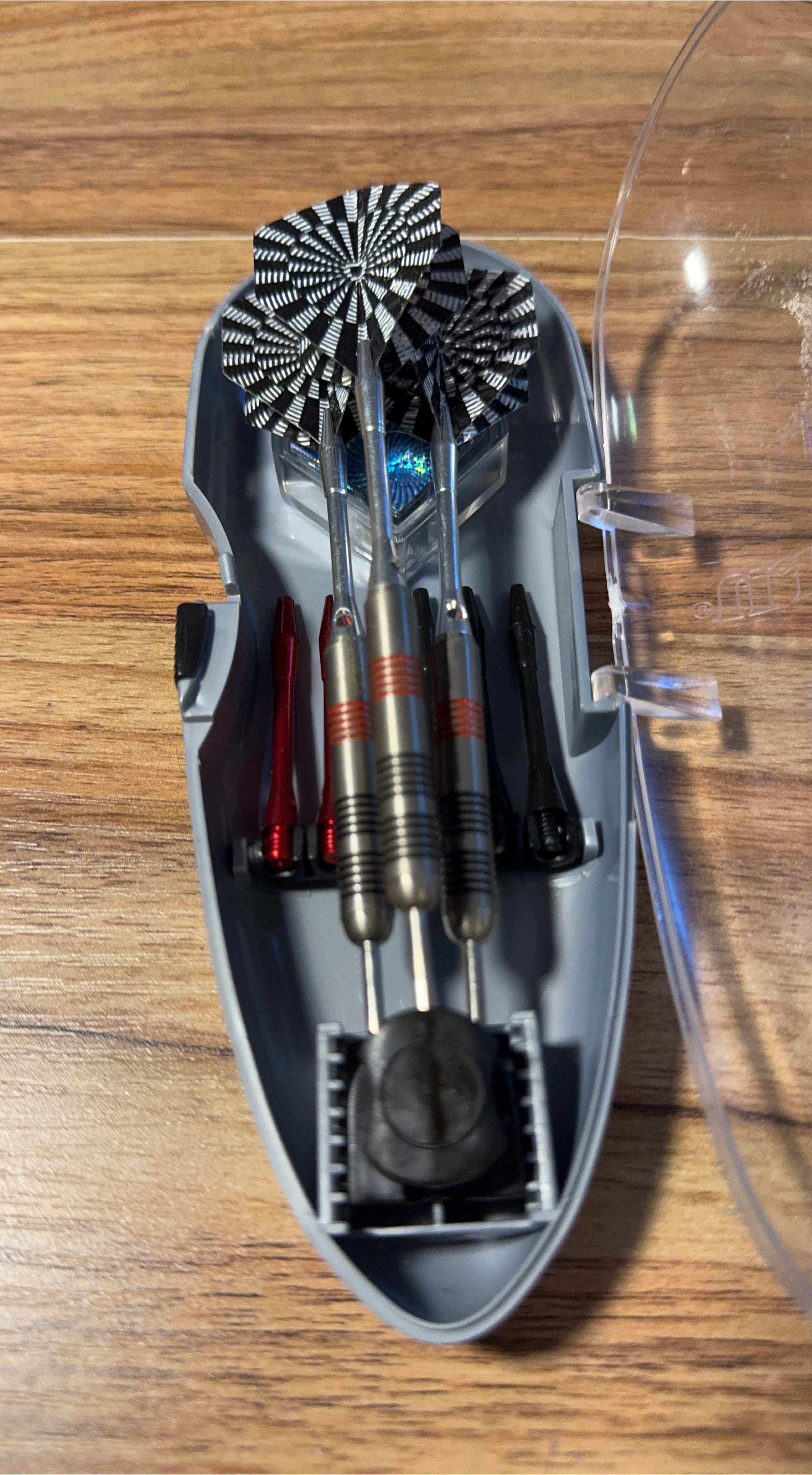 Set of Darts with Case
