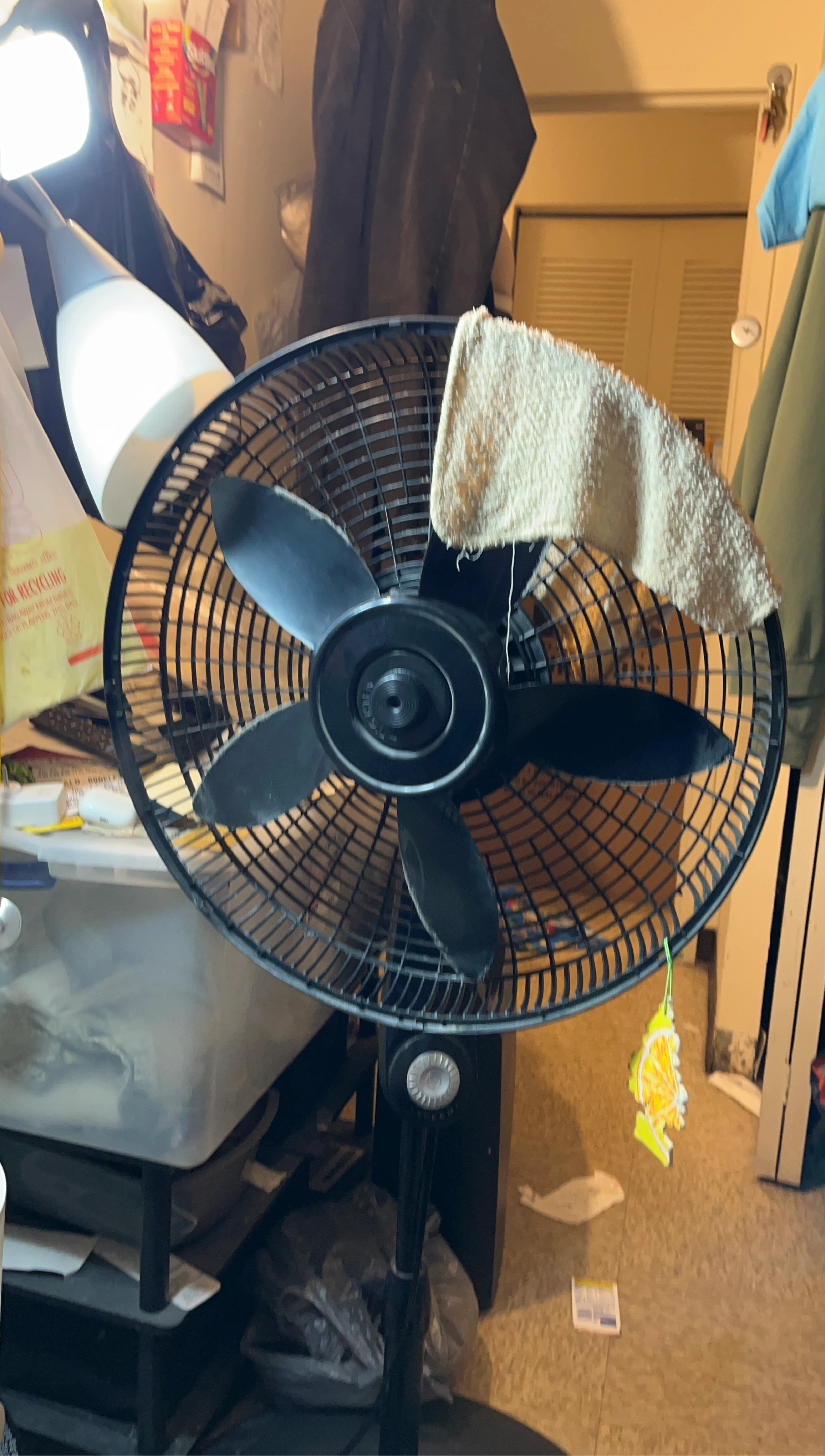 Black Standing Fan