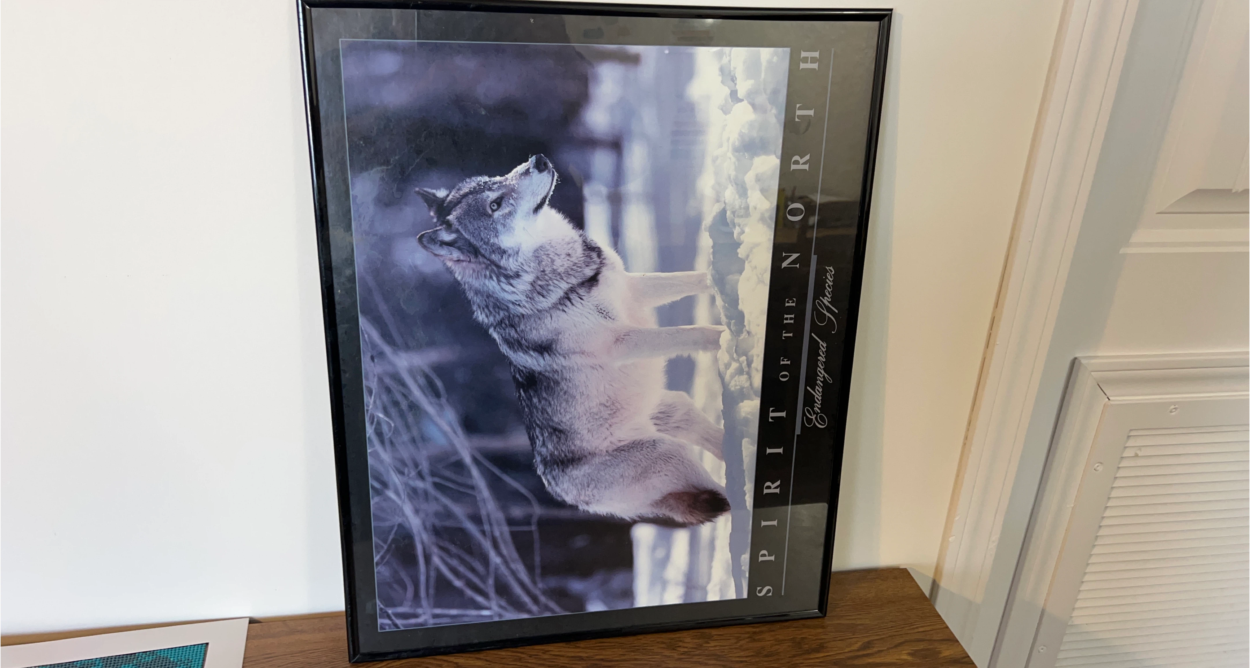 Framed Wolf Print - Spirit of the North