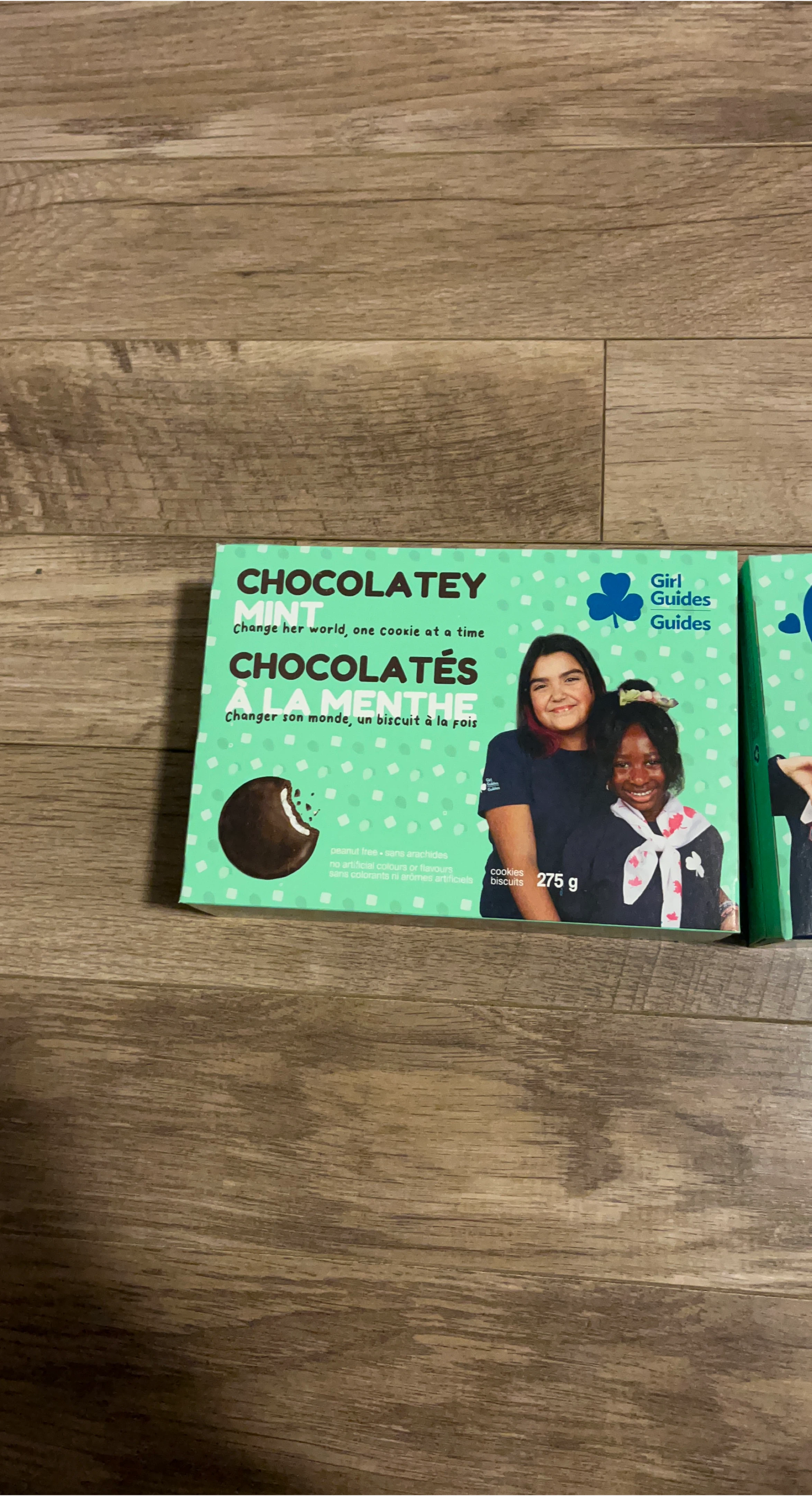 Girl Guides Chocolatey Mint Cookies 275g