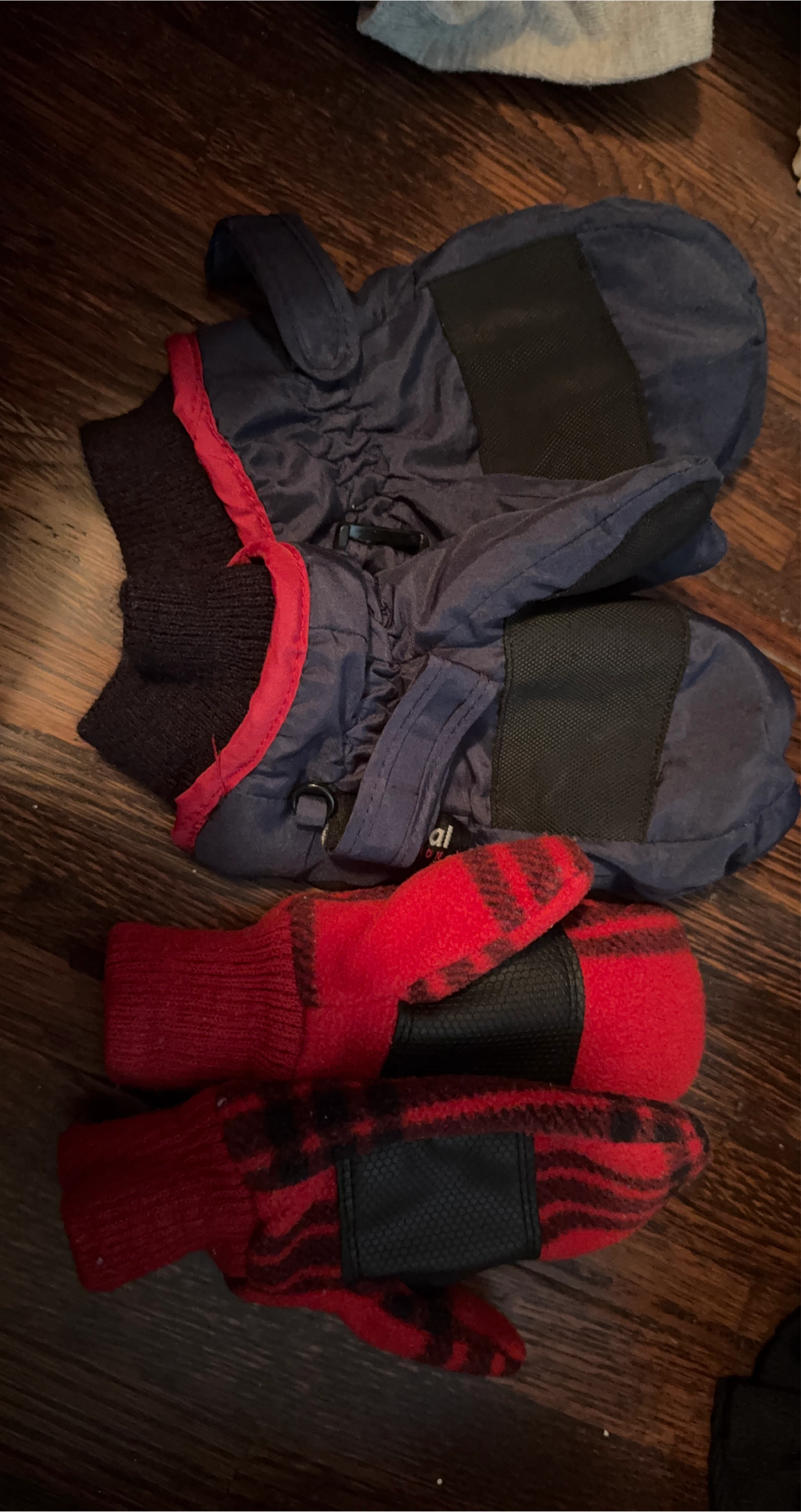 Kids' Winter Mittens - Blue & Red