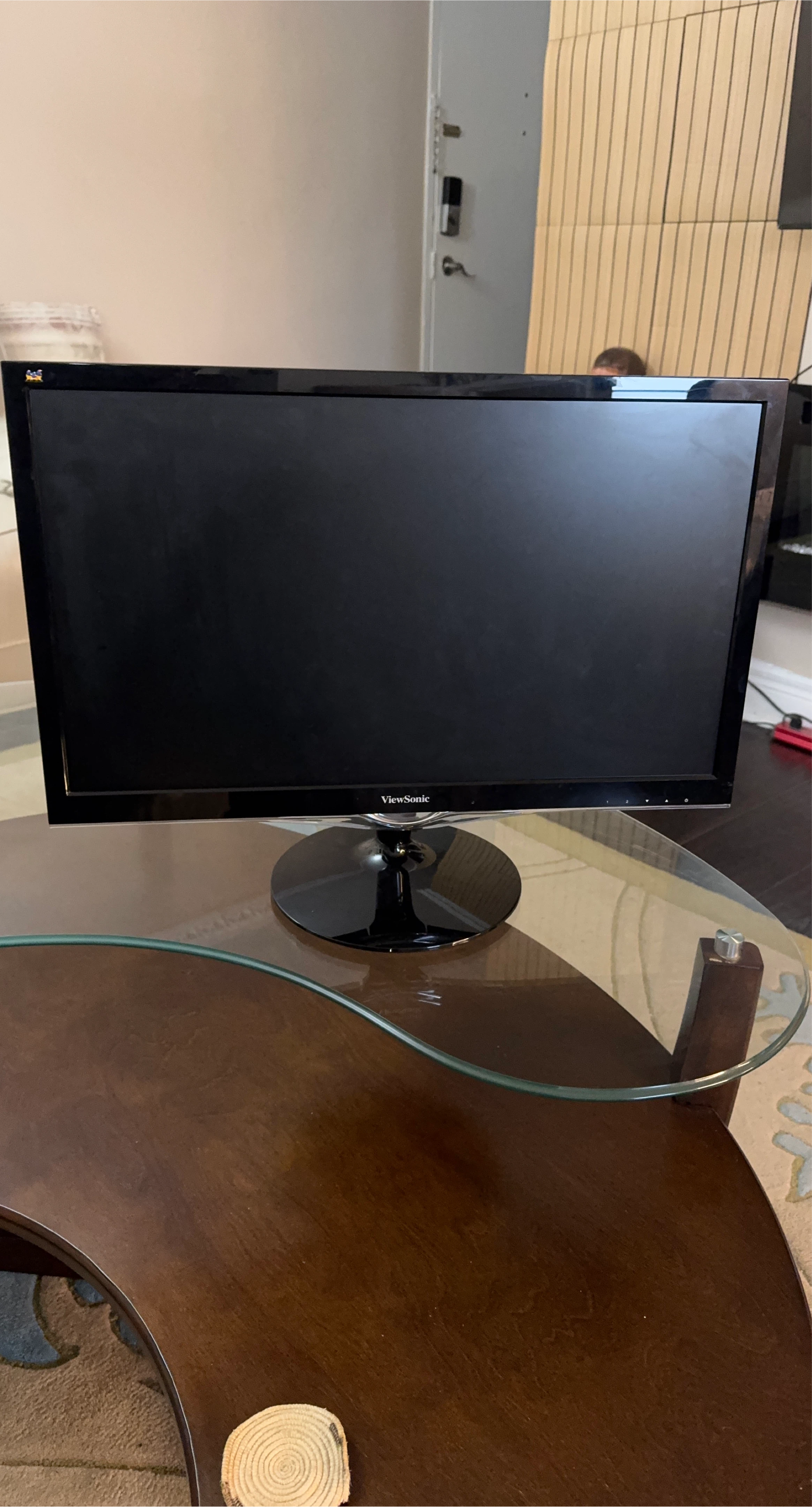 ViewSonic VA2452min -LED24 inch Monitor