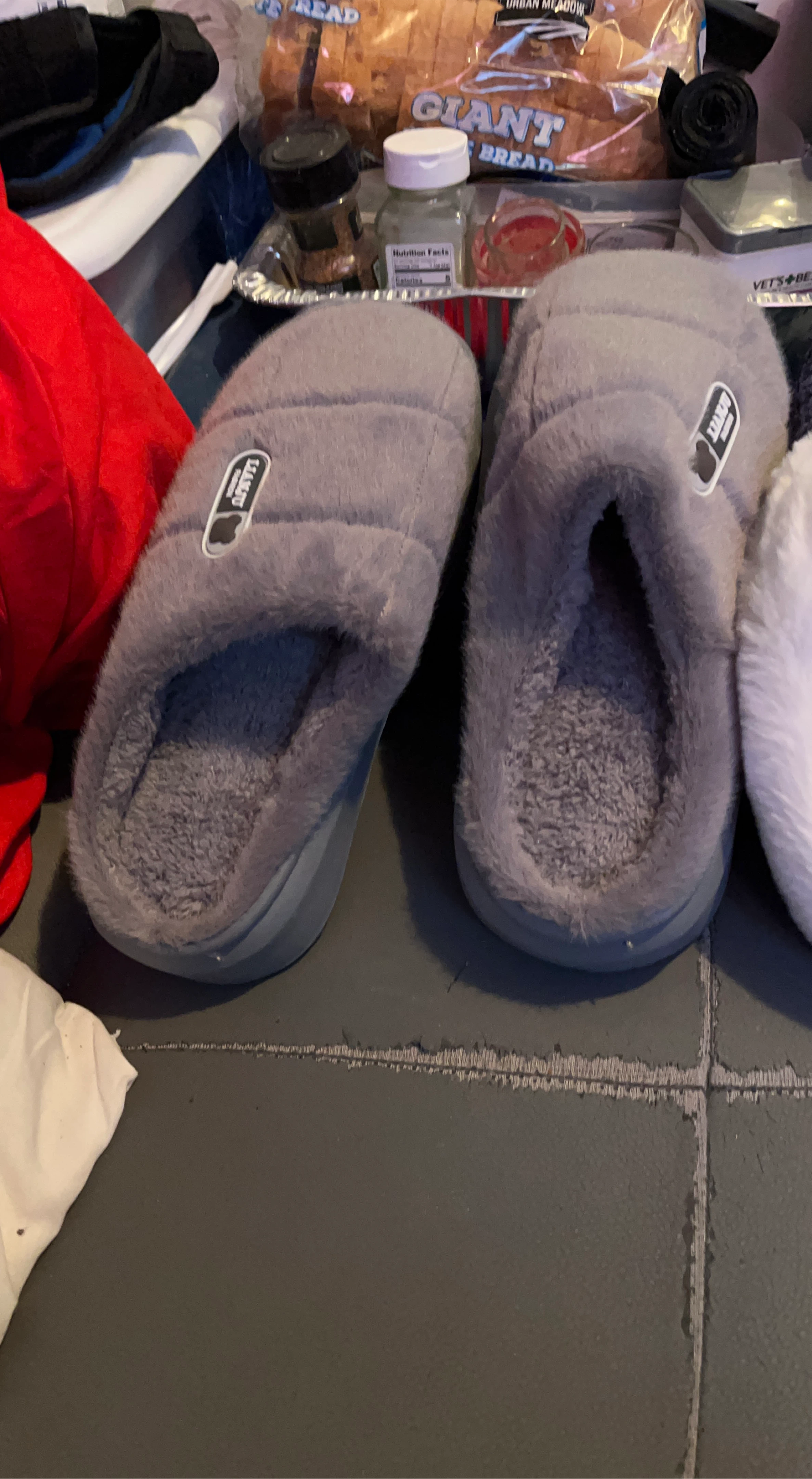 LASAQTJ Gray Slippers