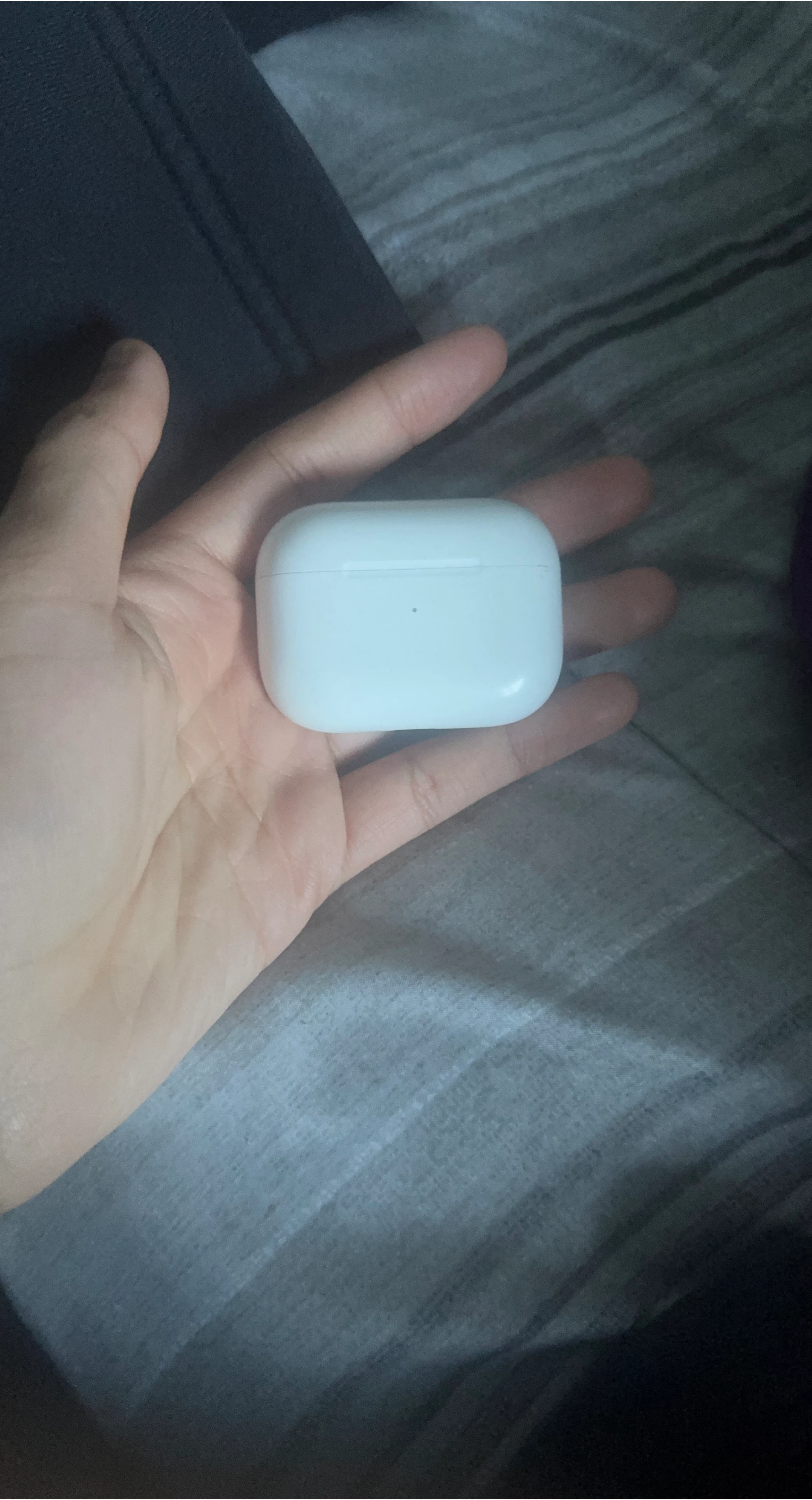 Apple AirPods Pro Charging Case