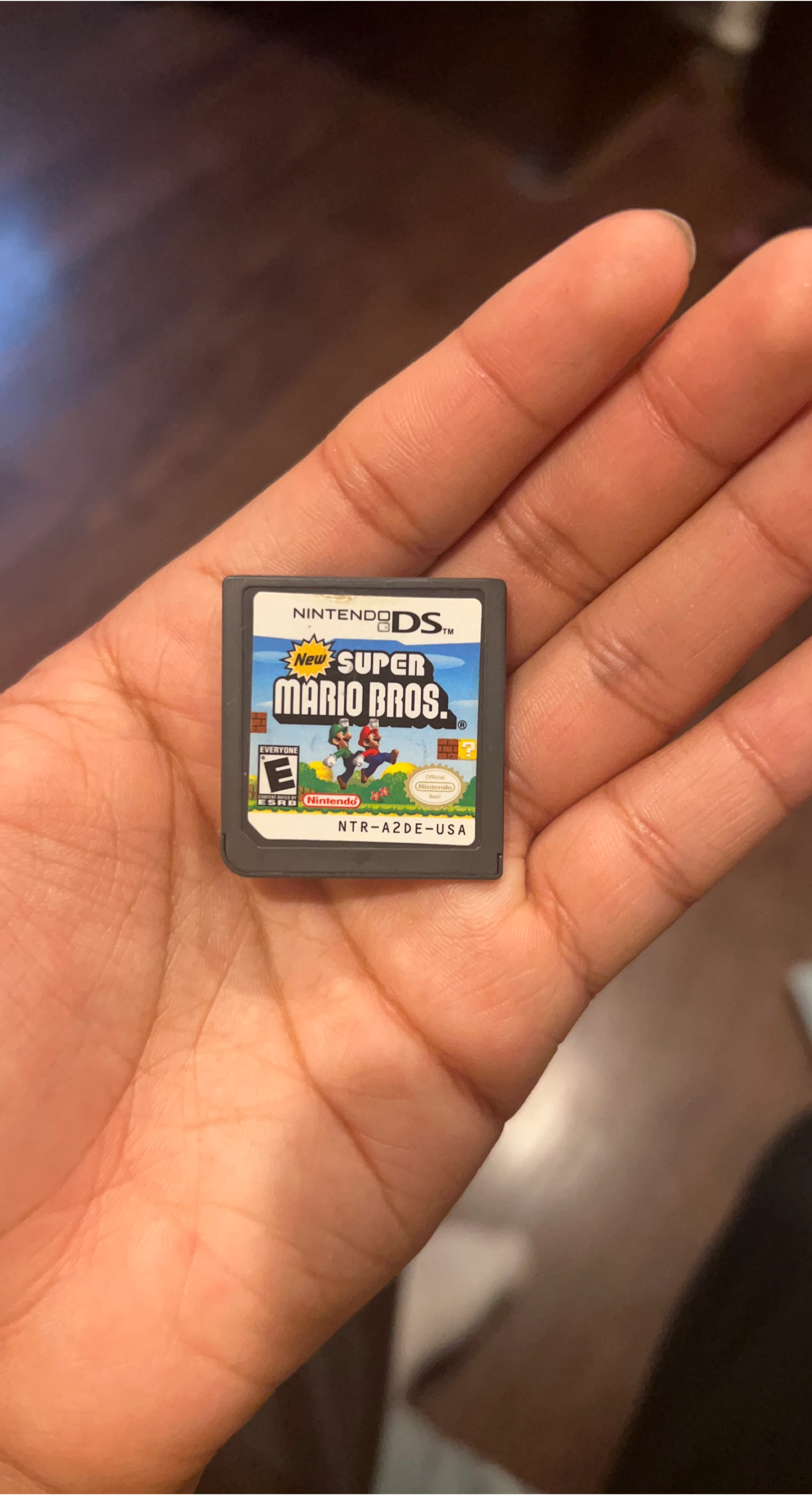 New Super Mario Bros. Nintendo DS Game