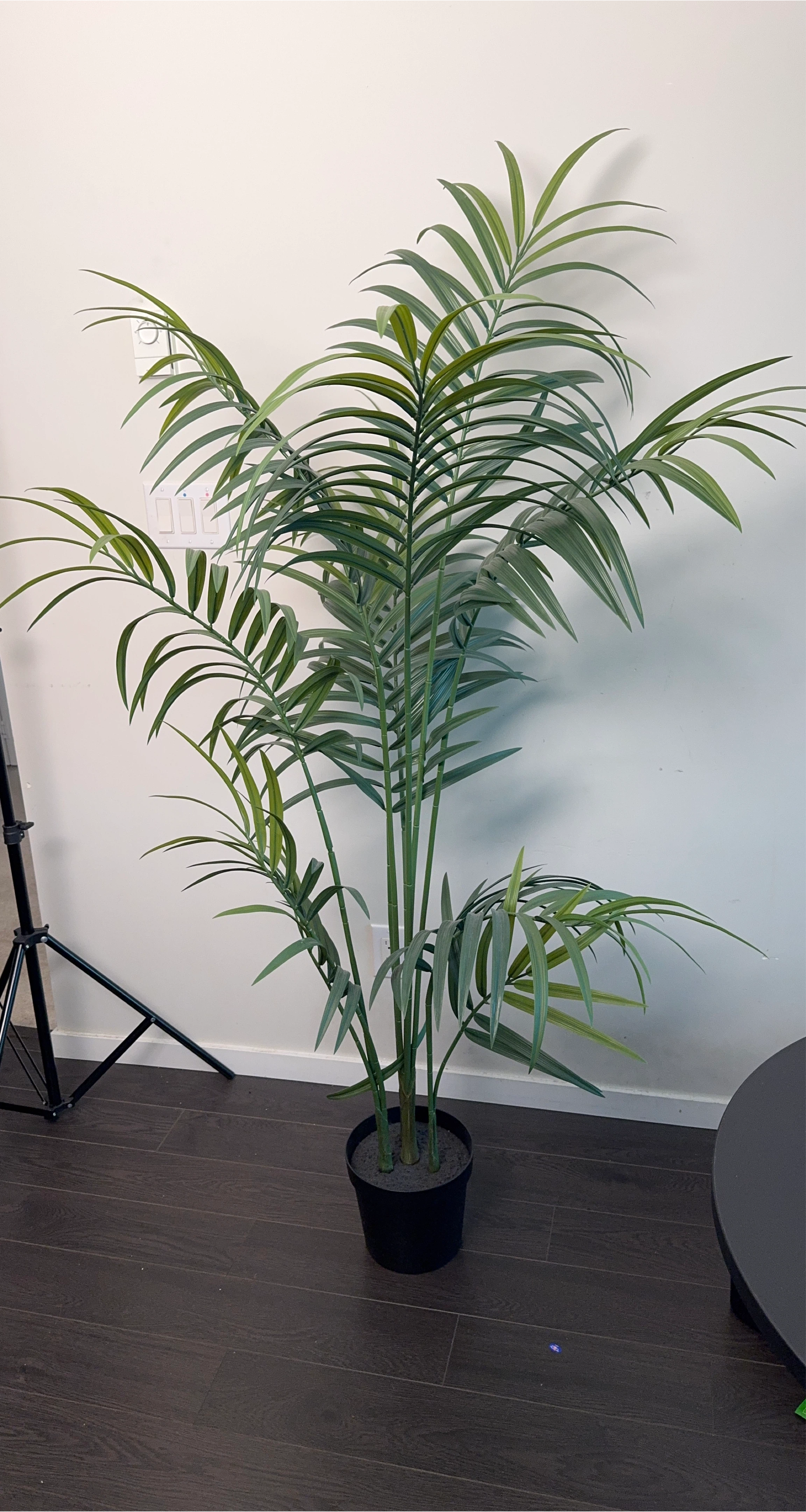 Faux Palm Plant