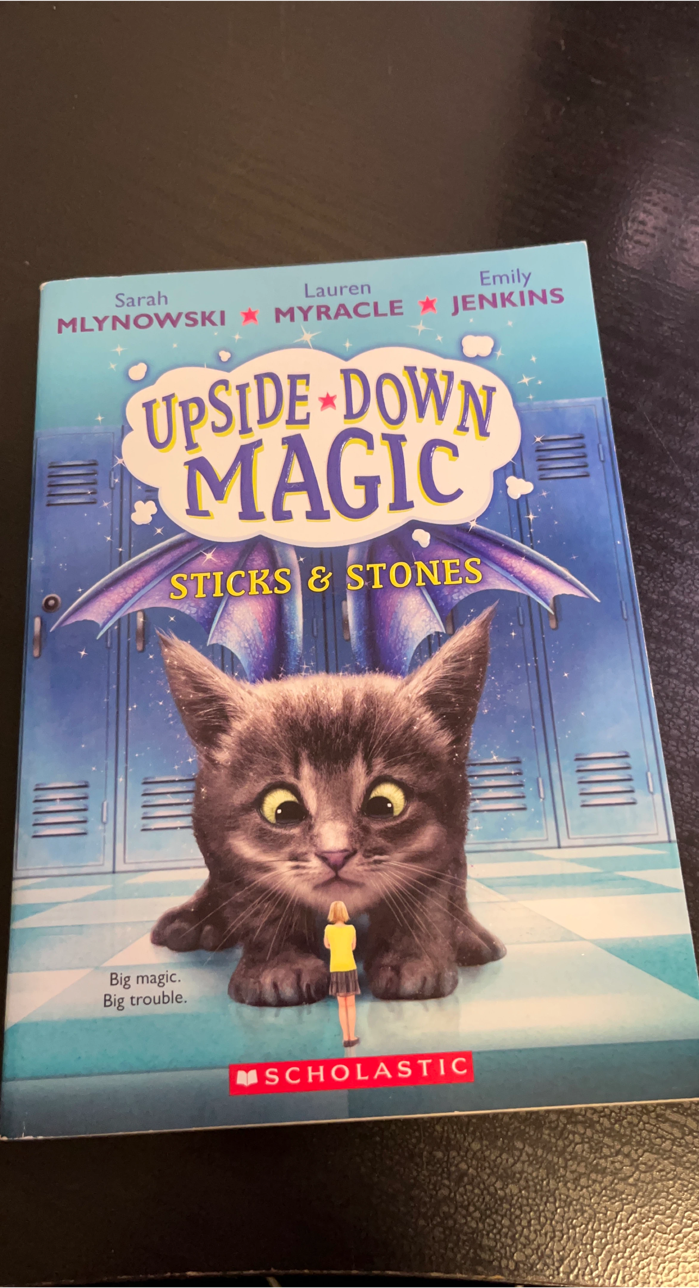 Upside Down Magic: Sticks & Stones Book