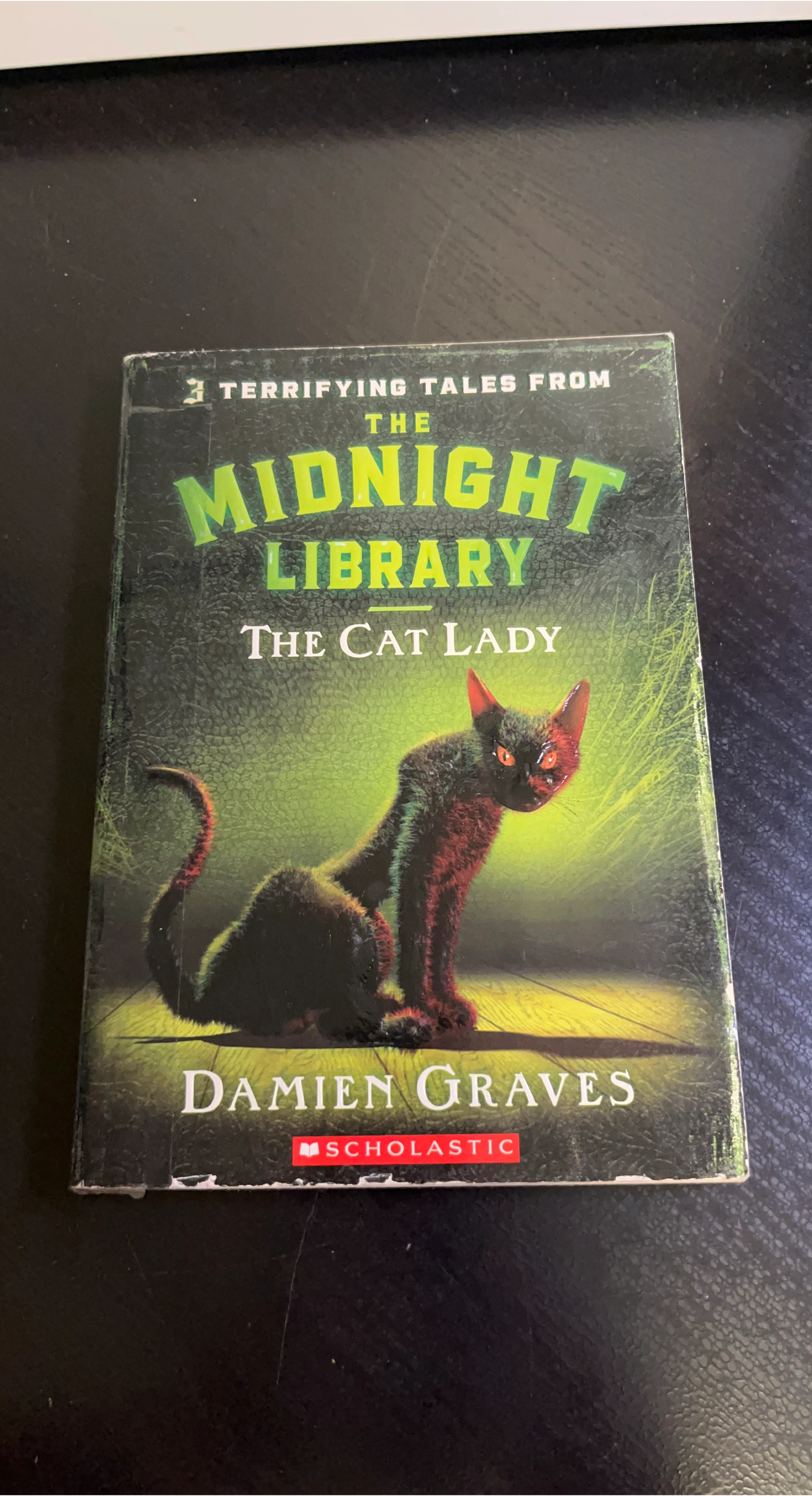The Midnight Library: The Cat Lady by Damien Graves