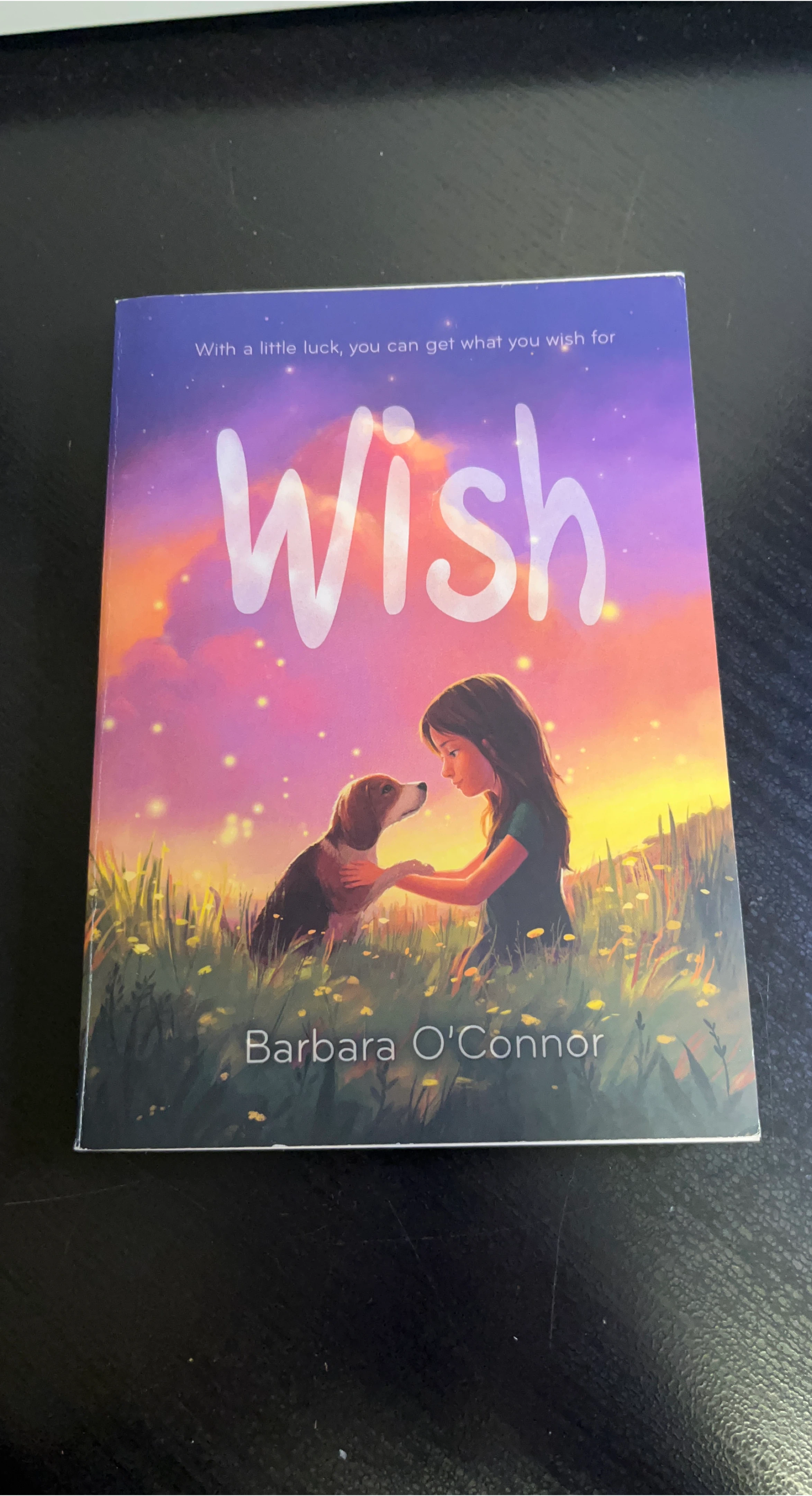 Wish by Barbara O'Connor