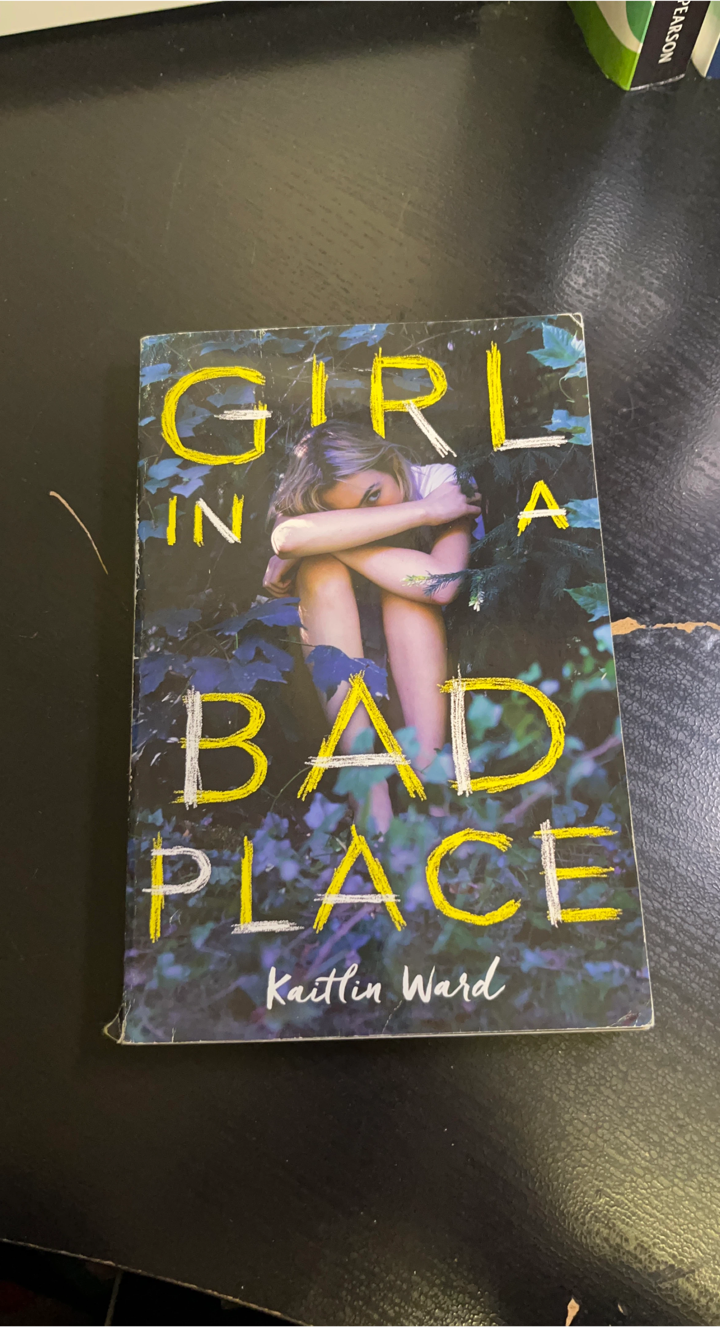 Girl in a Bad Place by Kaitlin Ward