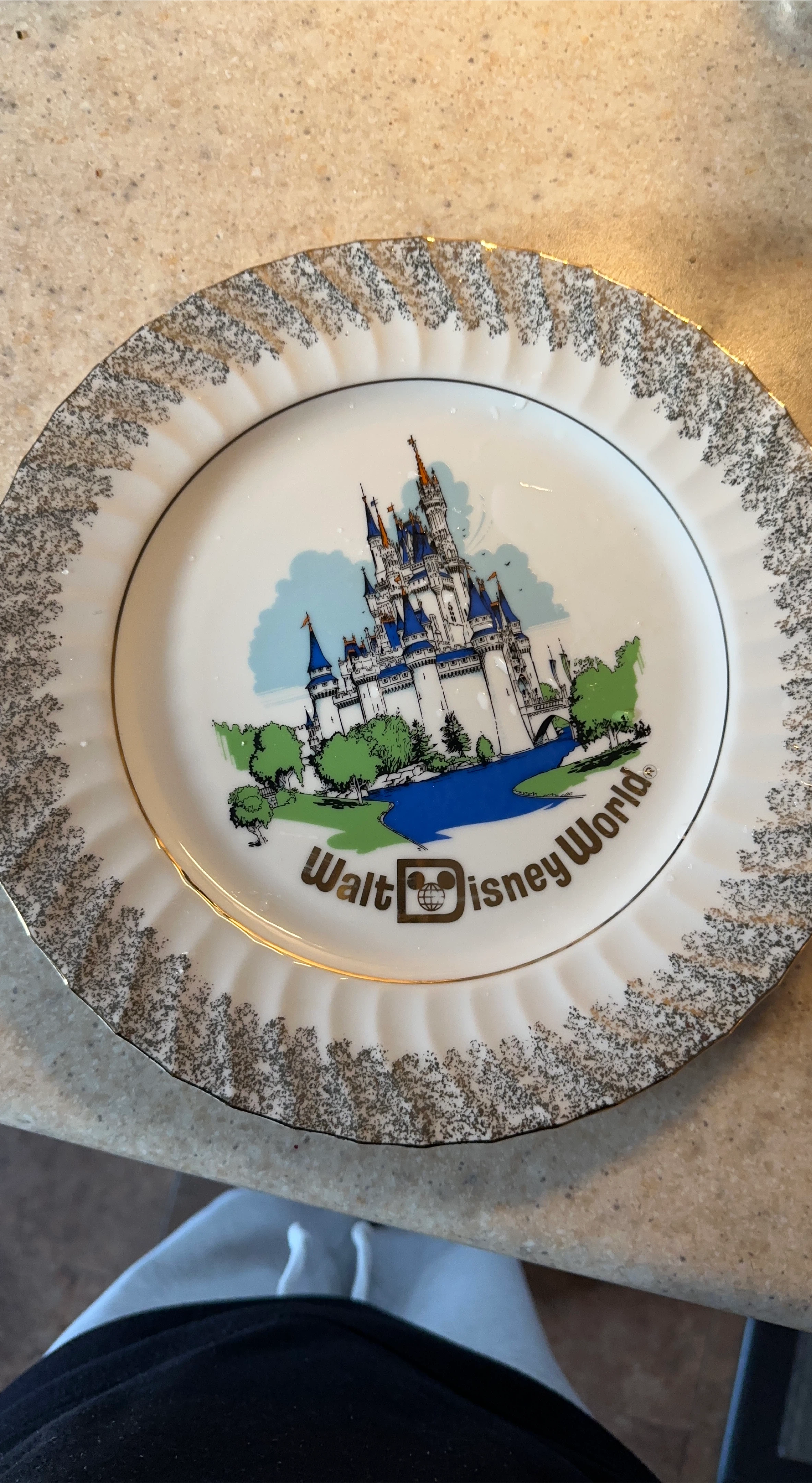Walt Disney World Decorative Plate