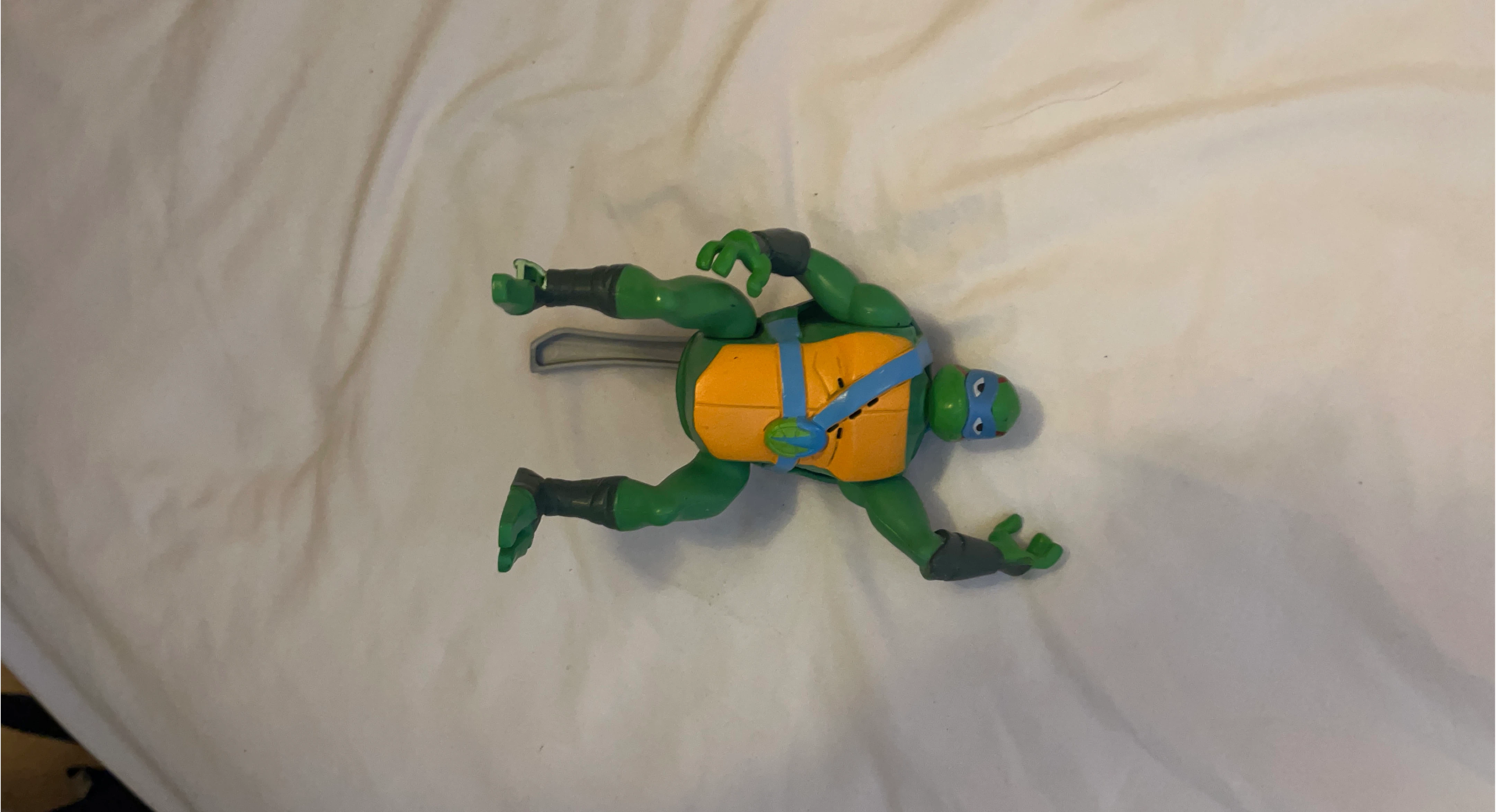 Teenage Mutant Ninja Turtle Action Figure