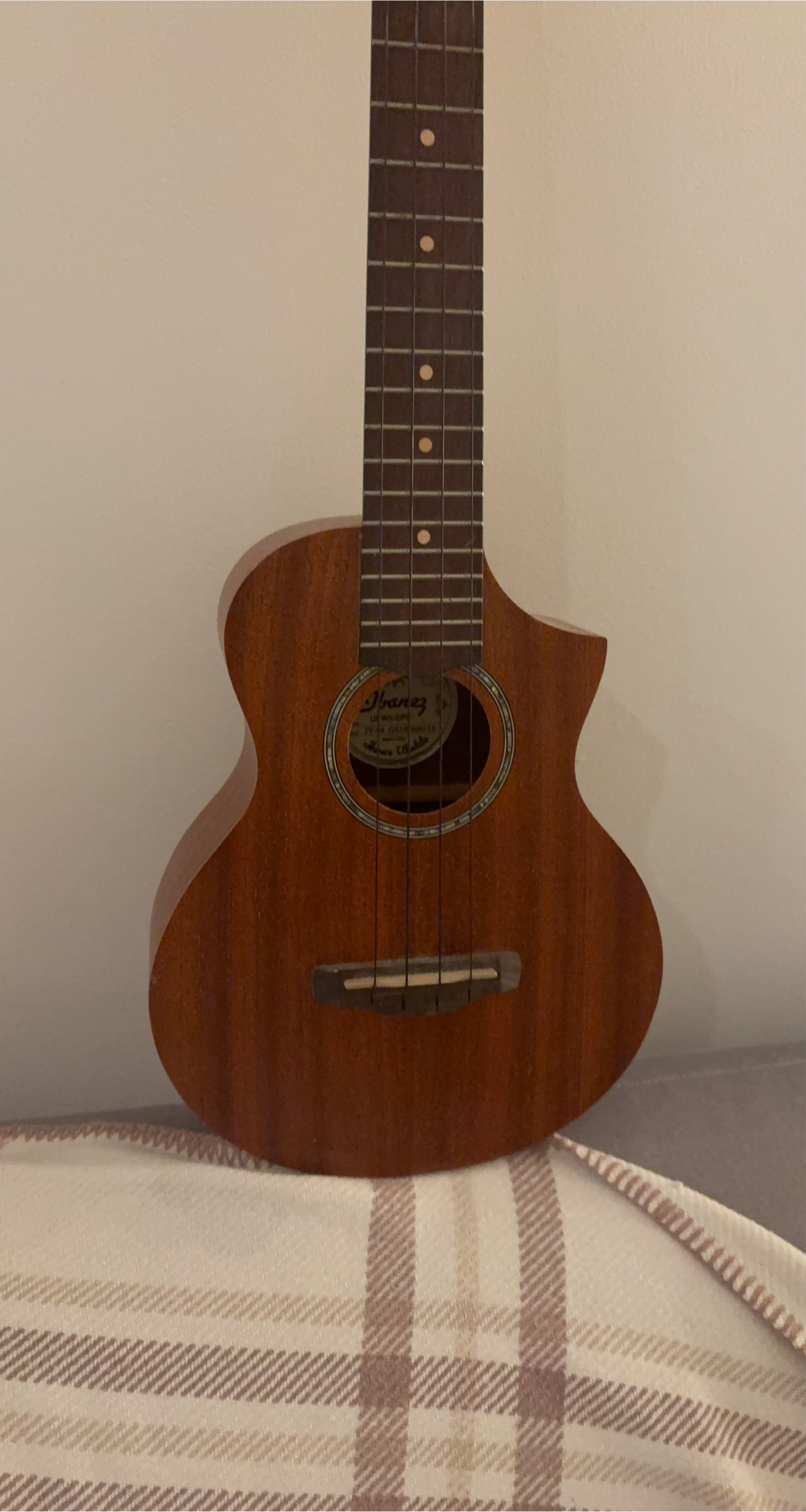 Ibanez Ukulele
