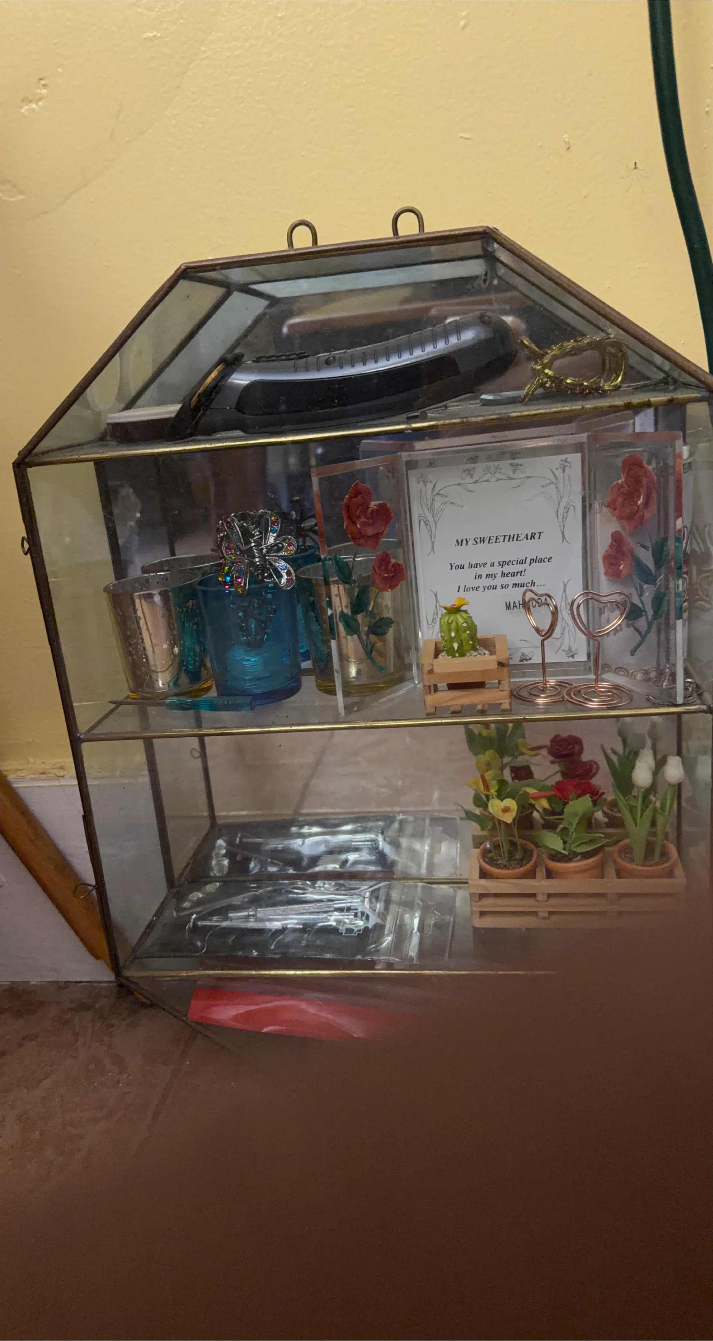 Glass Display Terrarium with Decorative Items