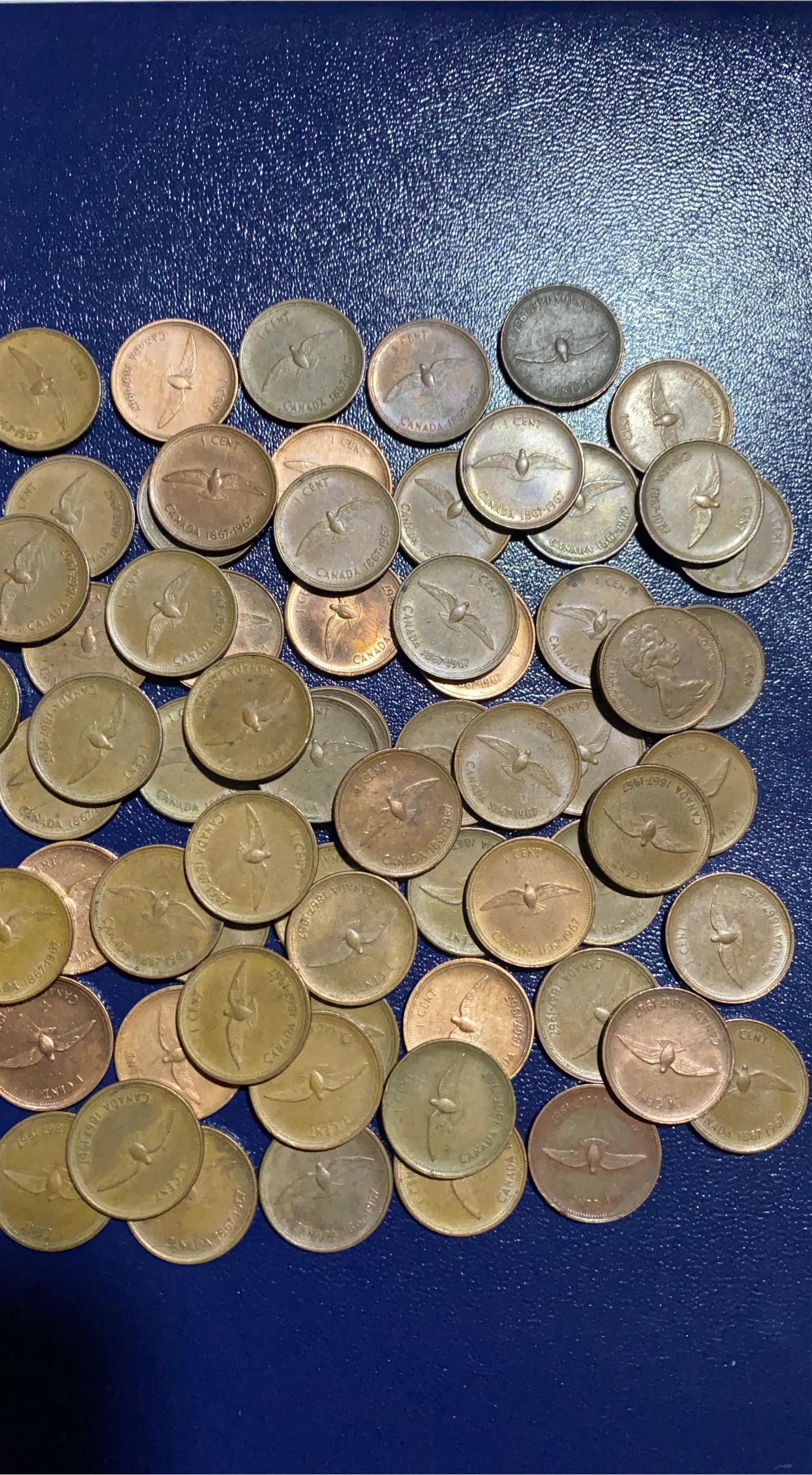 1967 Canadian Centennial Penny $3 each